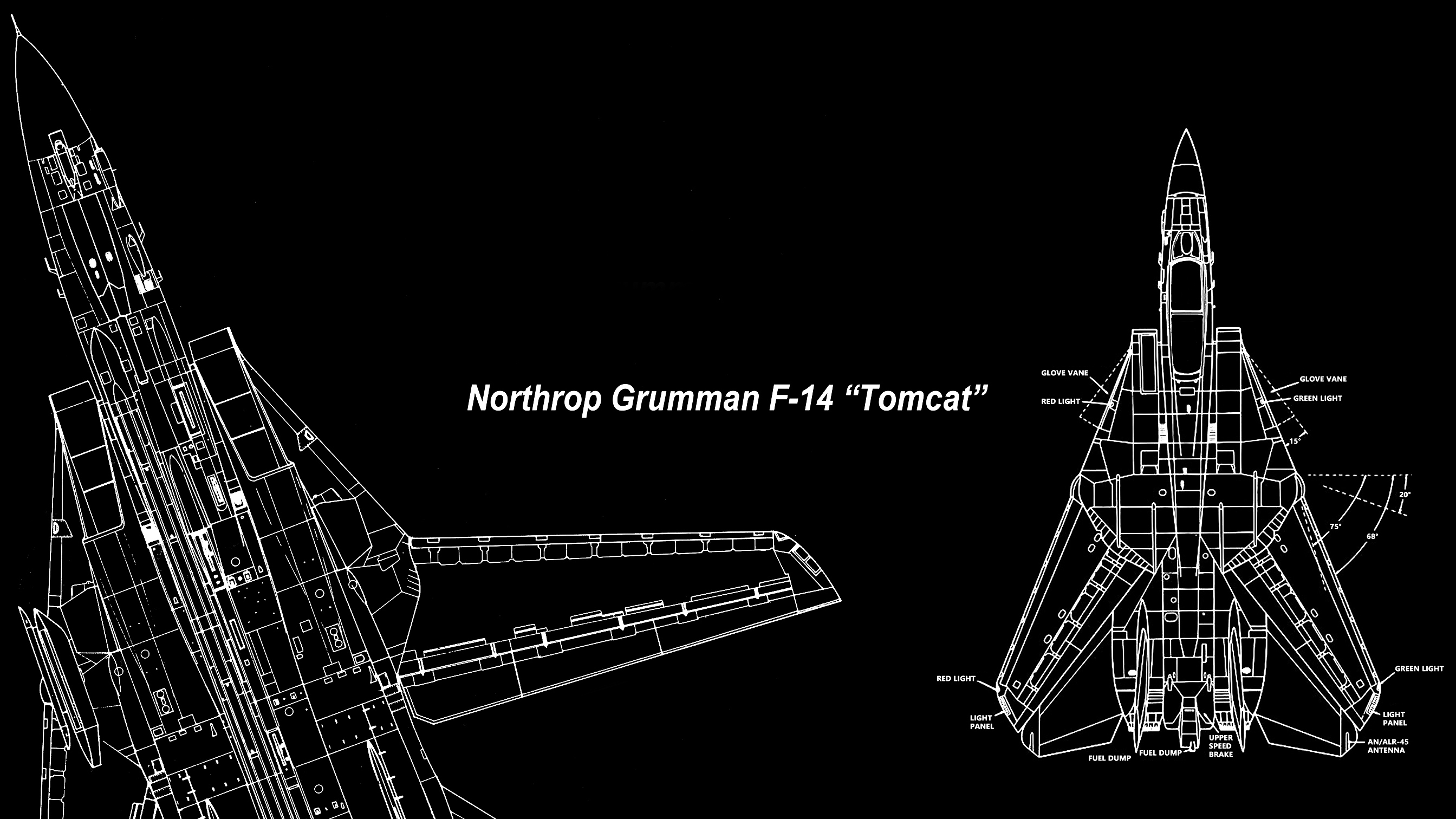 Grumman F 14 Tomcat F 14 Tomcat Jet Fighter United States Navy Military Aircraft 2688x1512