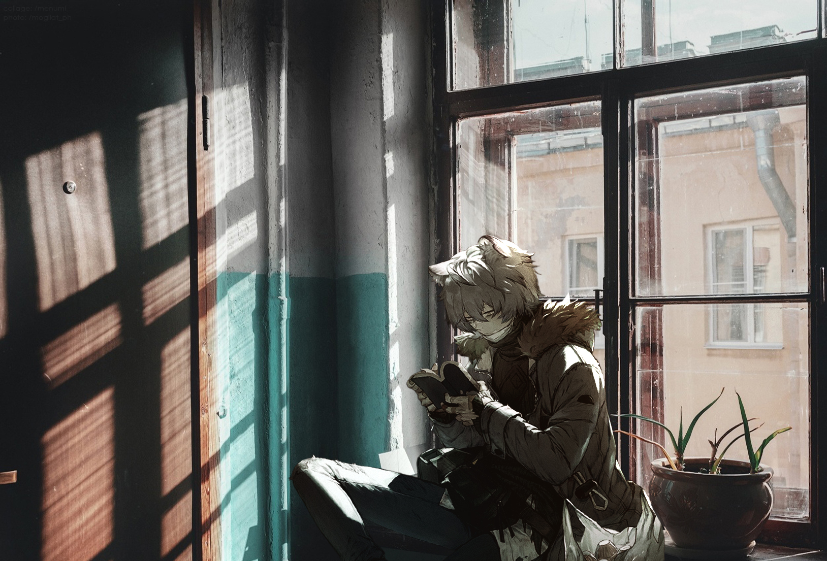 Collage Russia Cat Boy 2D Anime 1628x1105