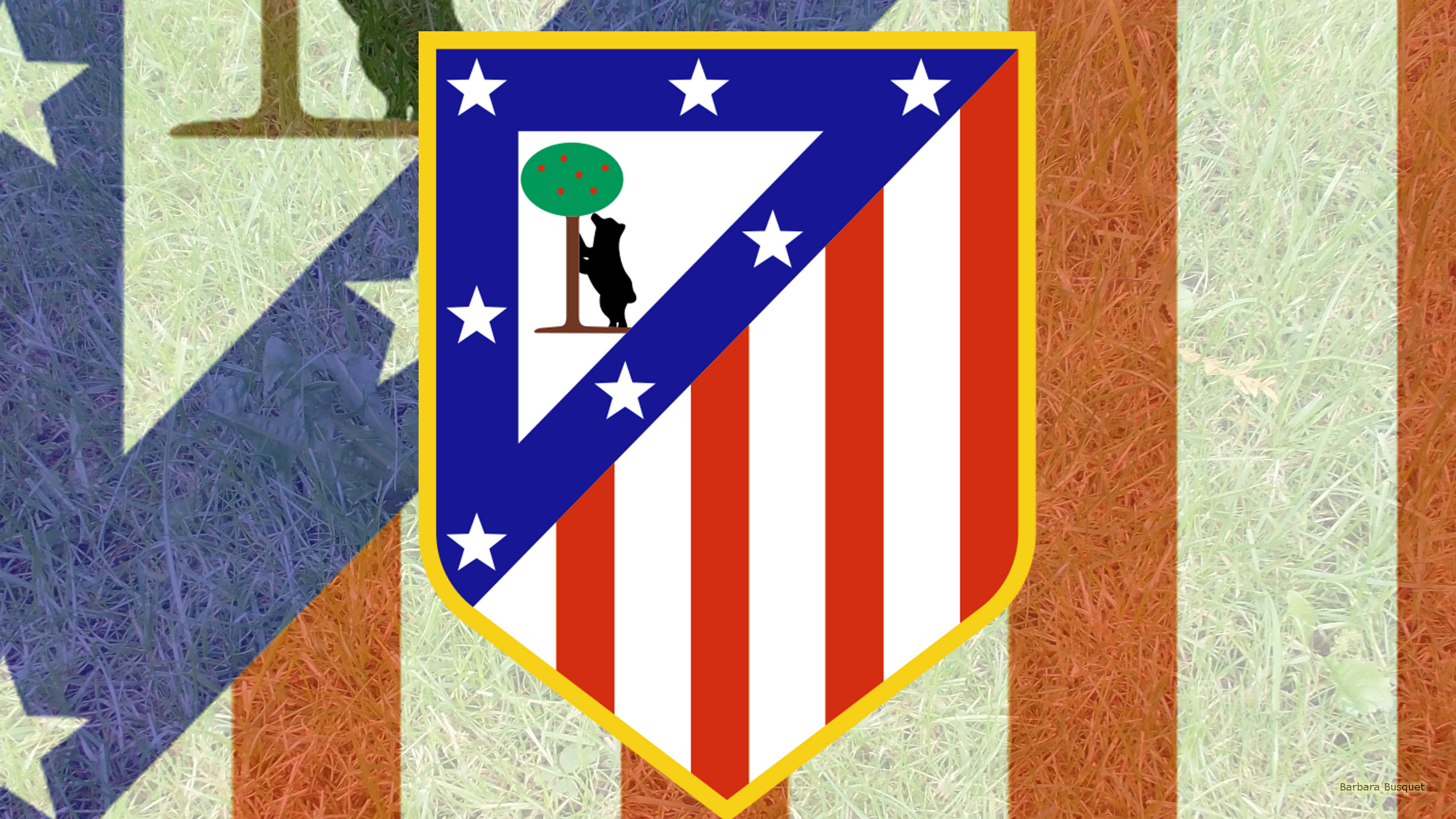 Atletico Madrid Emblem Logo Soccer 2560x1440