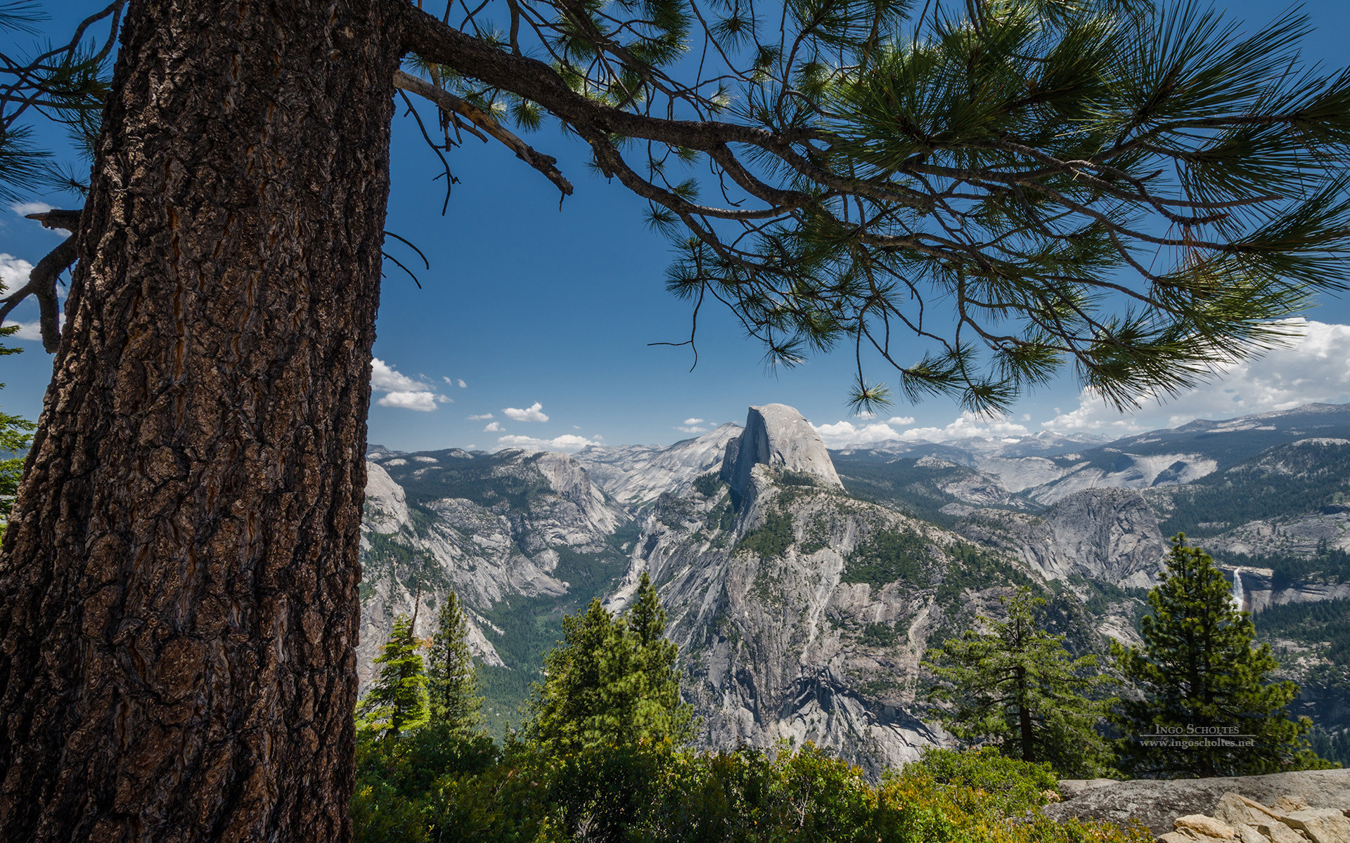 Earth Mountain Tree Valley Yosemite National Park 1920x1200