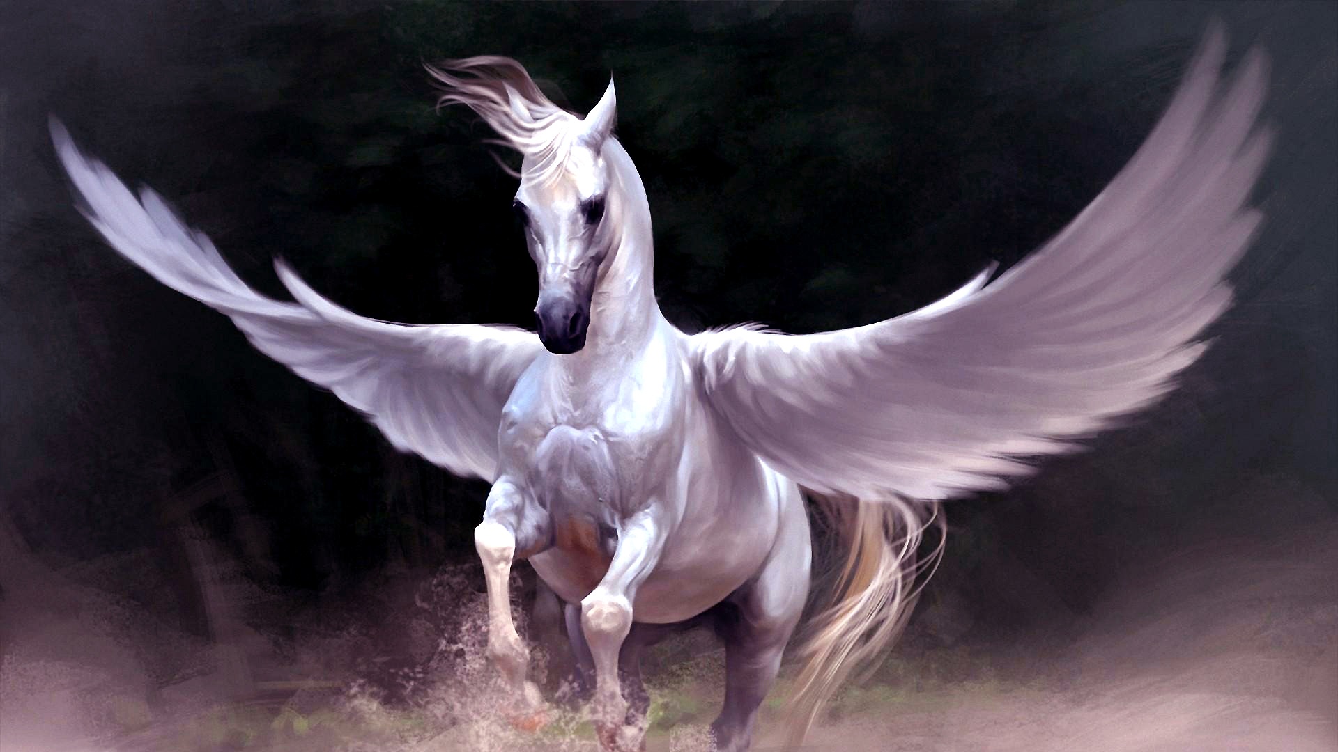 Fantasy Horse Pegasus 1920x1080