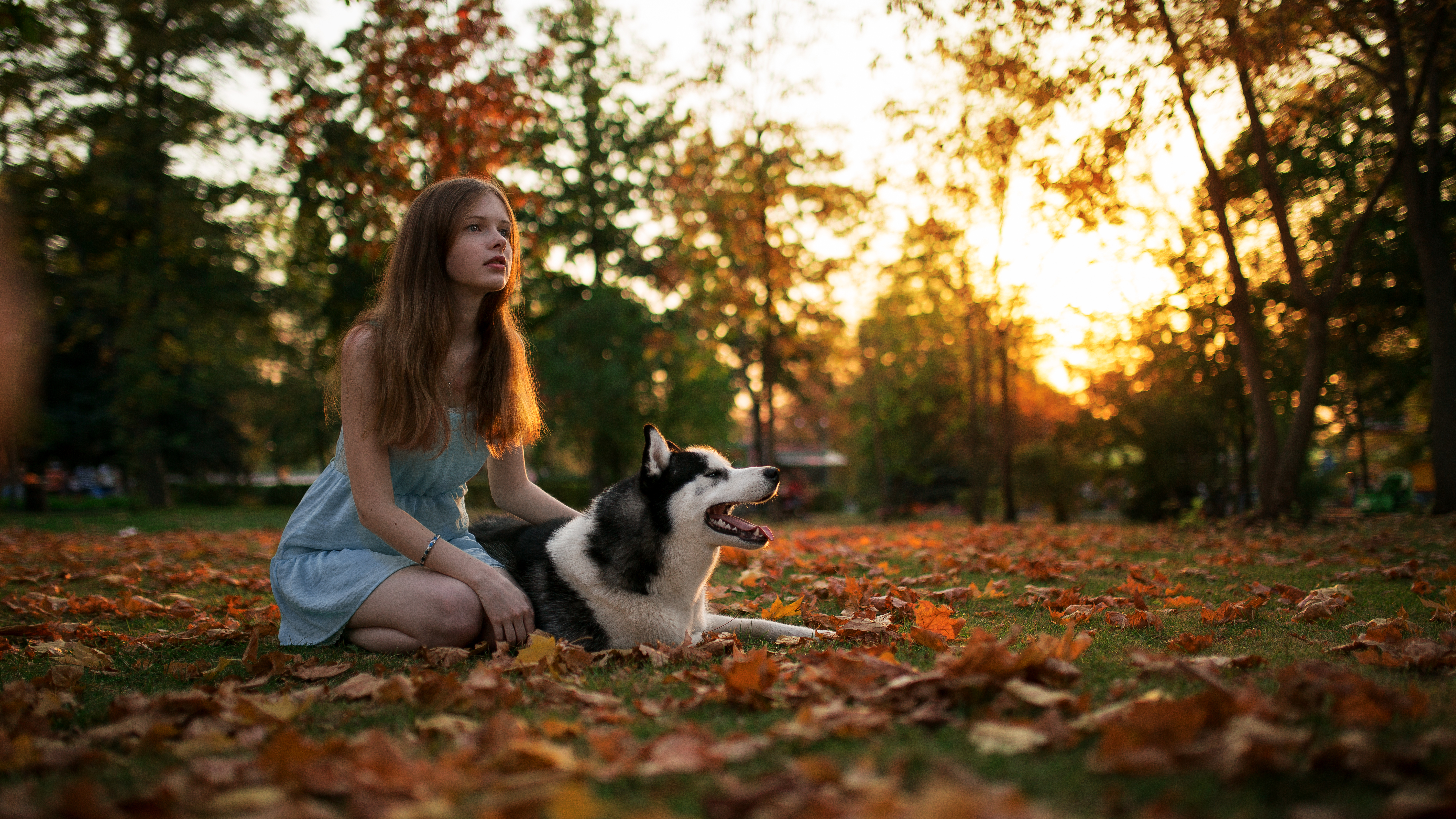 Women Model Maxim Gustarev Outdoors Blue Blouse Long Hair Dog Siberian Husky Leaf Fall Looking Away  5691x3201