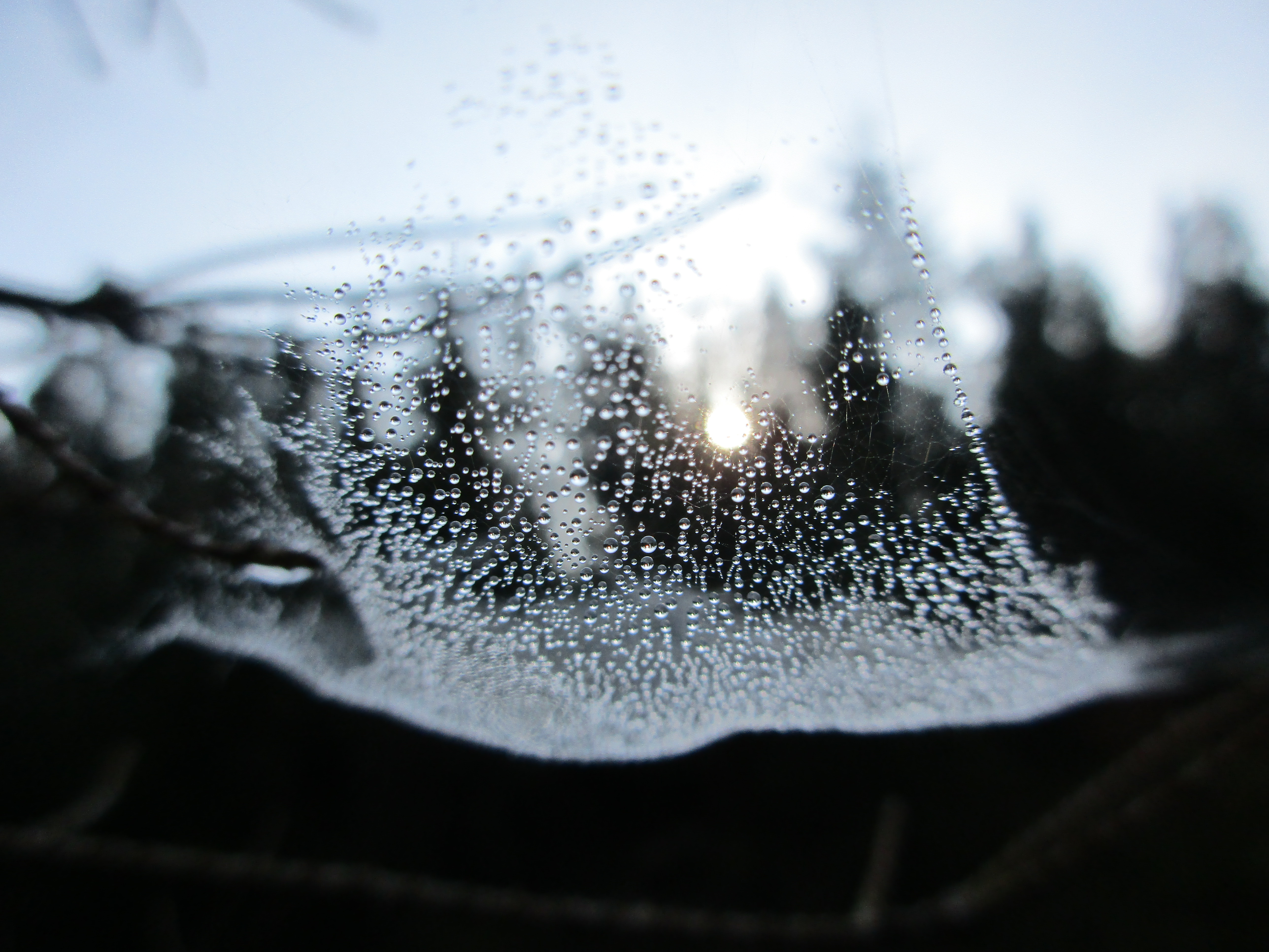 Spider Web Sunrise Water Drop 5152x3864