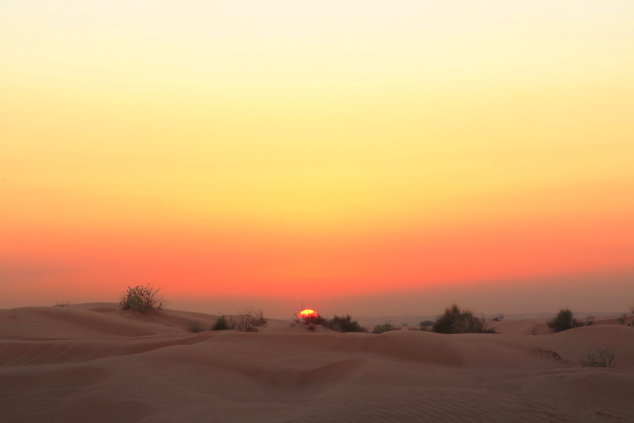 Desert Dune Nature Sand Sky Sunset 2047x1365