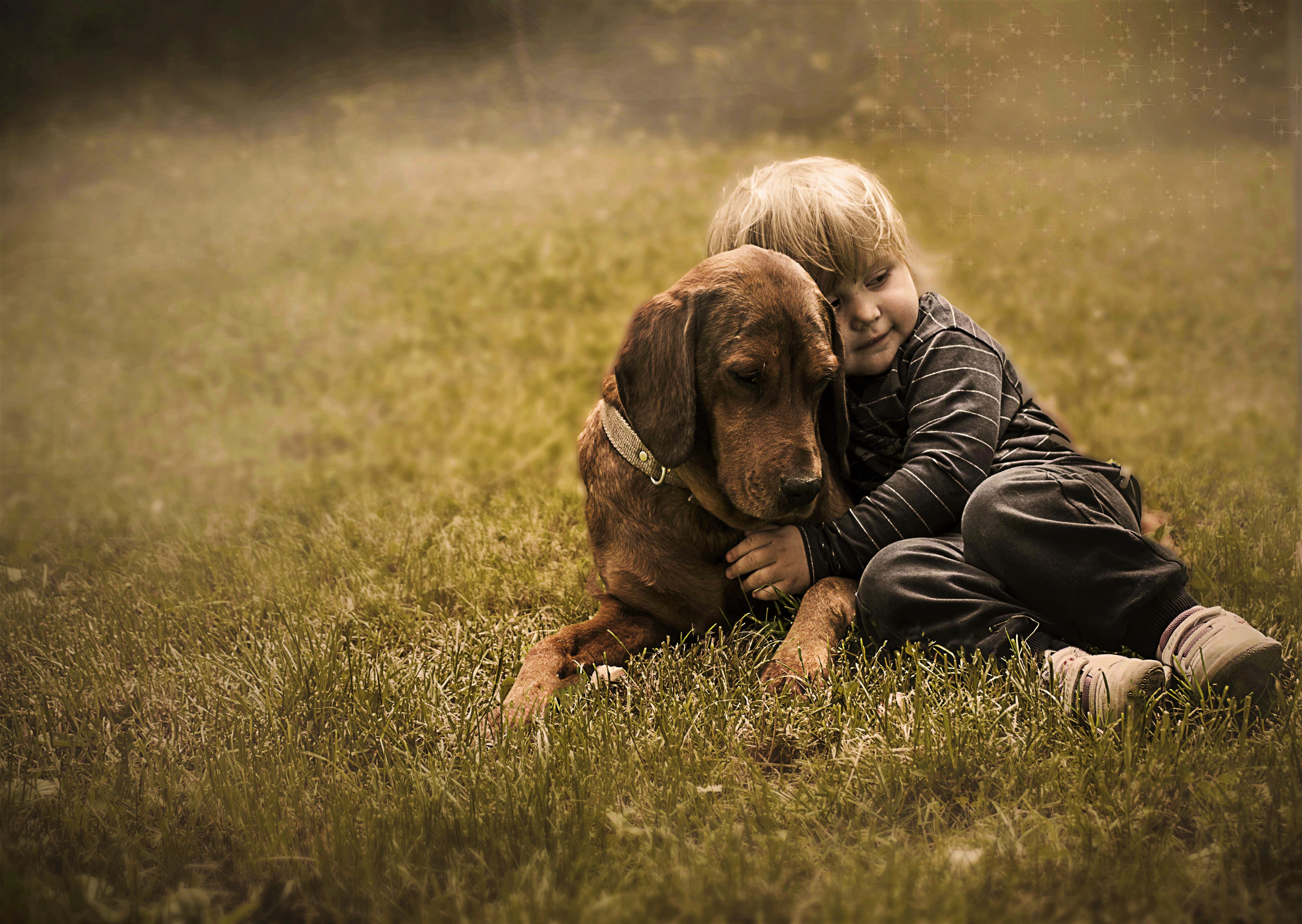 Собаки и люди на дороге. Ребенок обнимает собаку. Собака для детей. Мальчик с собакой. Мальчик обнимает собаку.