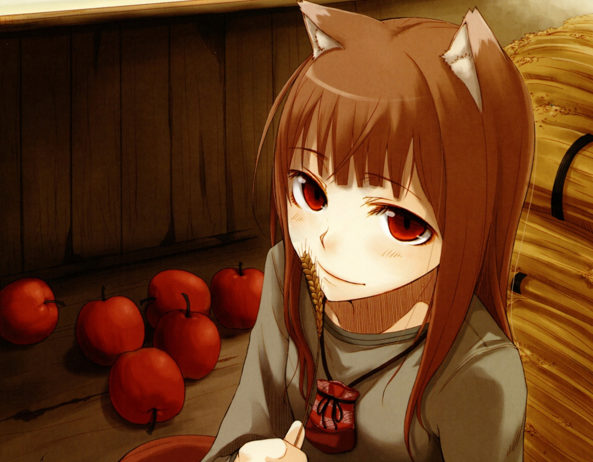 Holo Spice Amp Wolf 1920x1495