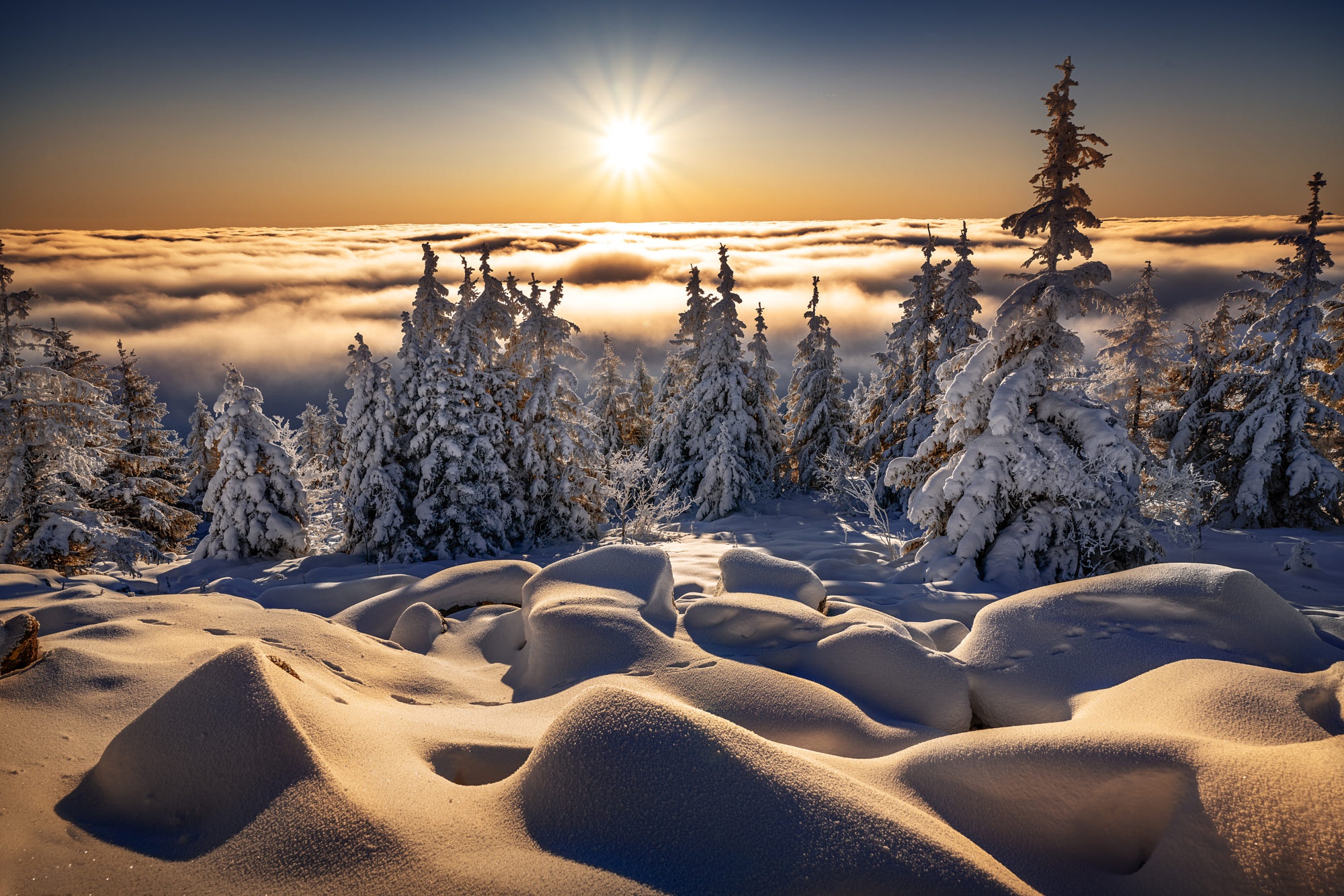 Fog Landscape Nature Snow Sun Sunbeam Winter 2000x1334