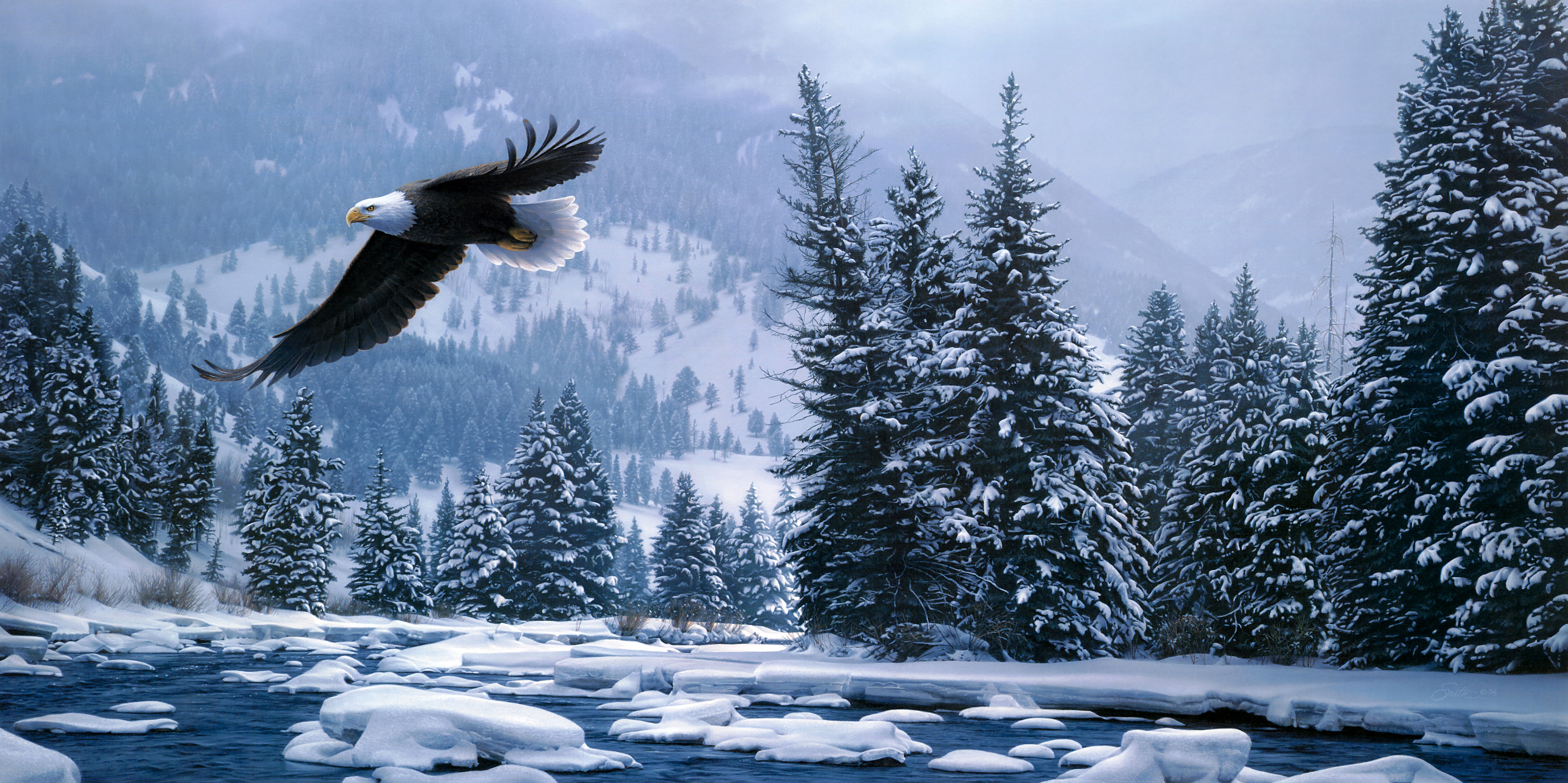 Bald Eagle Flight Forest Snow Winter 4416x2205