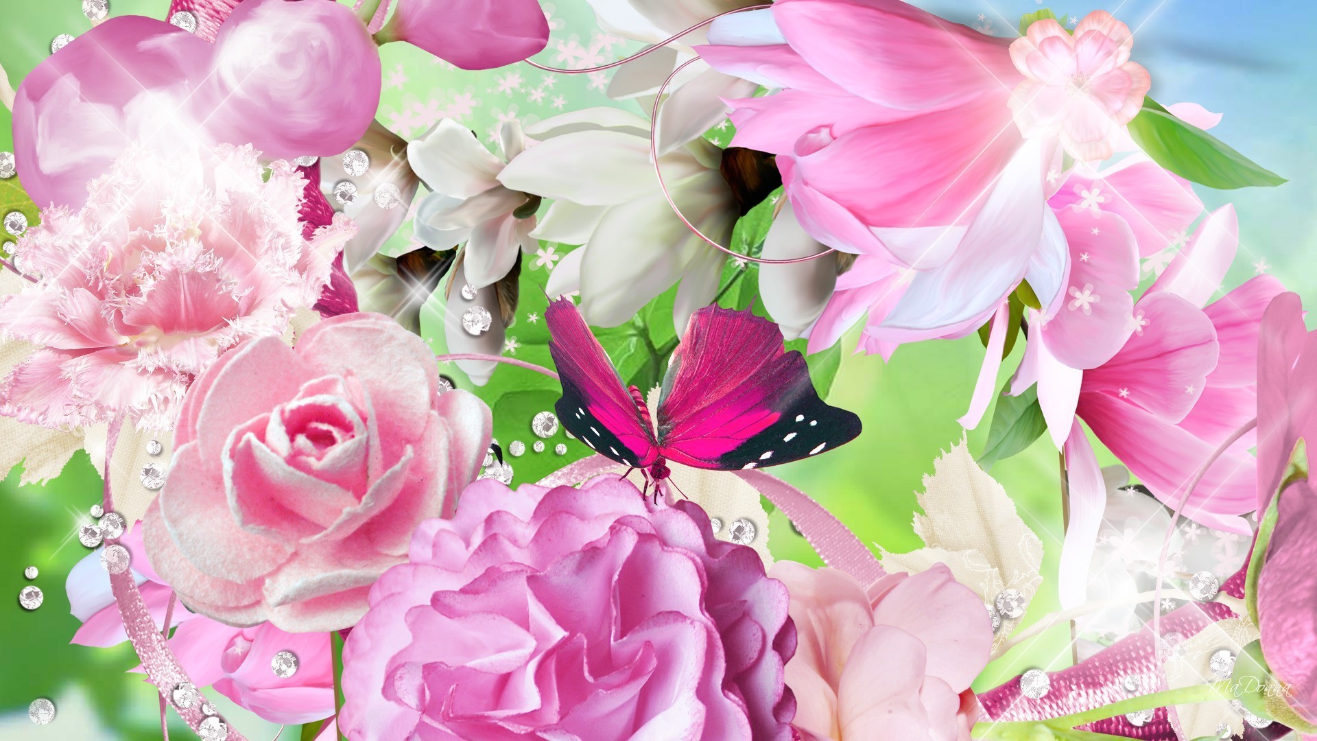 Butterfly Flower Peony Pink Flower Rose 1920x1080