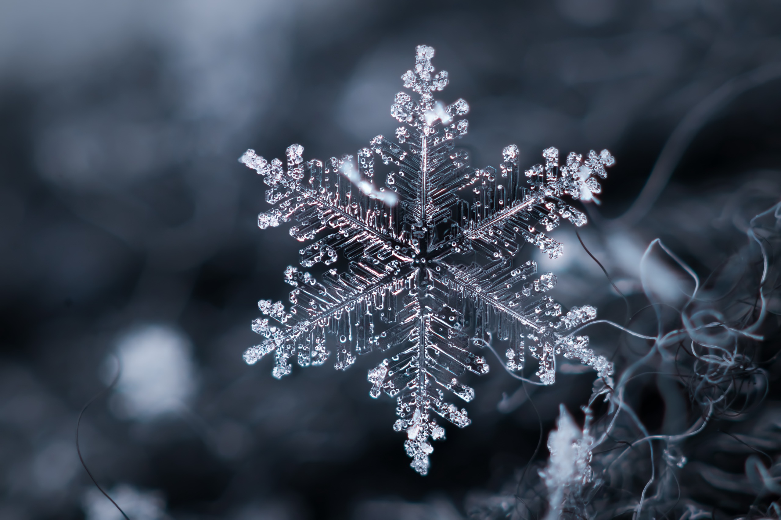 Macro Snowflake 2560x1707