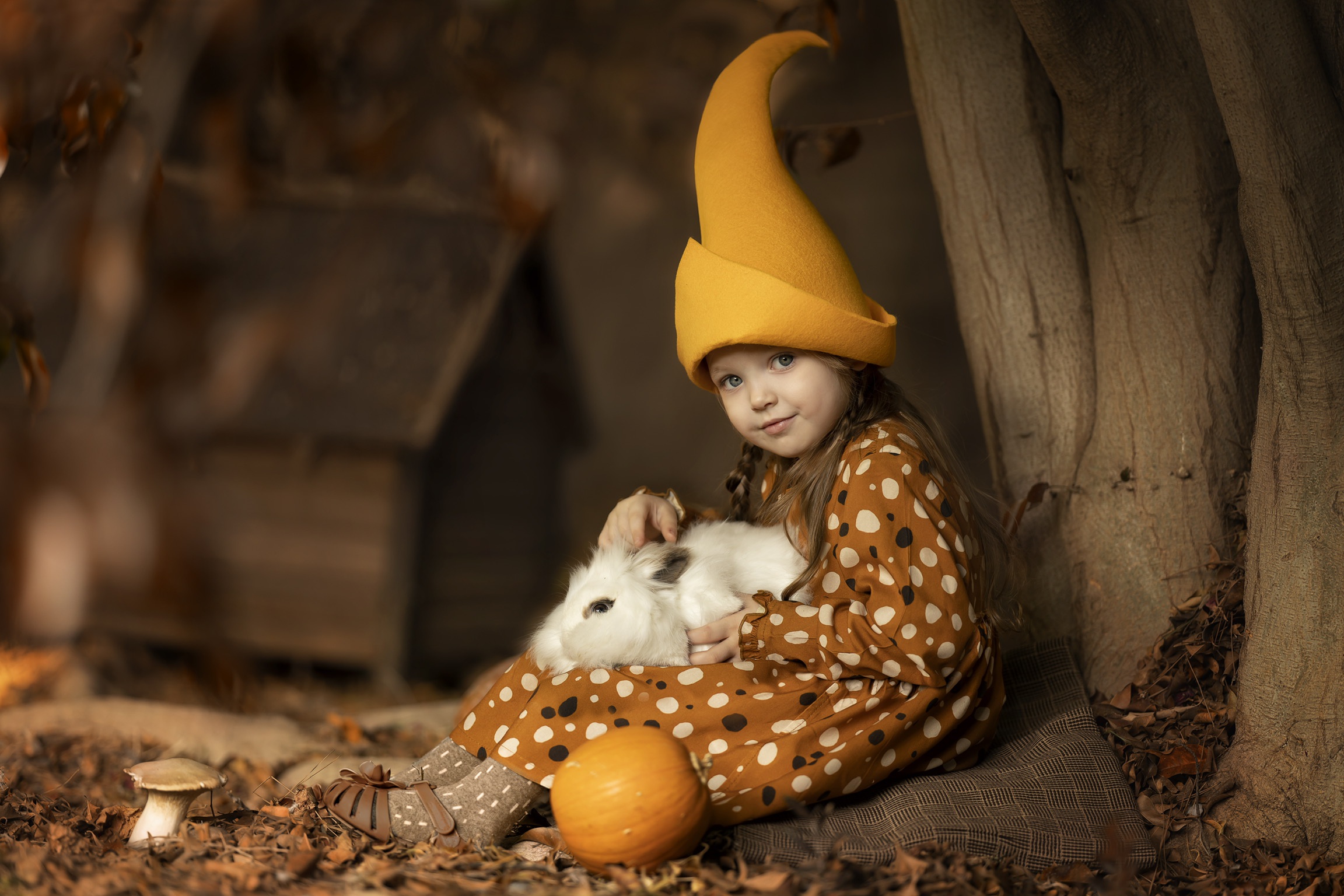 Cap Child Girl Pumpkin Rabbit Trunk 2304x1536