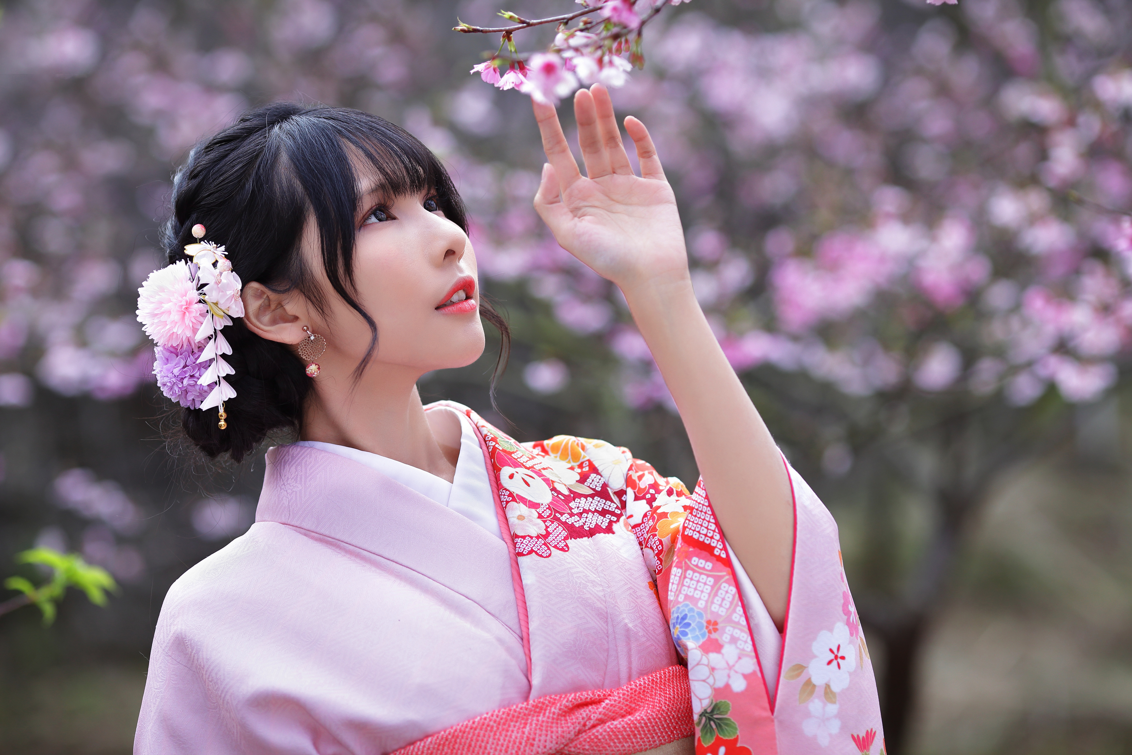 Asian Model Women Black Hair Hair Knot Hair Ornament Earring Depth Of Field Trees Cherry Blossom Tra 3840x2560