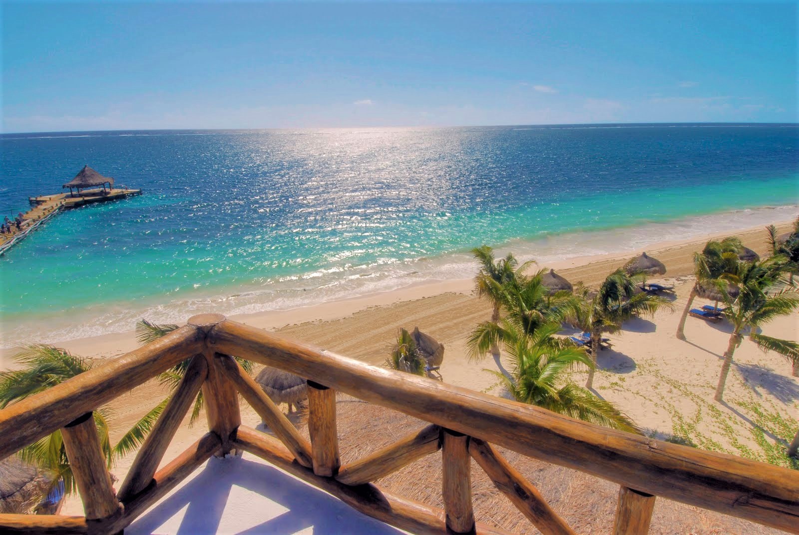 Beach Horizon Ocean Palm Tree Resort Sea Tropical Turquoise 1600x1071