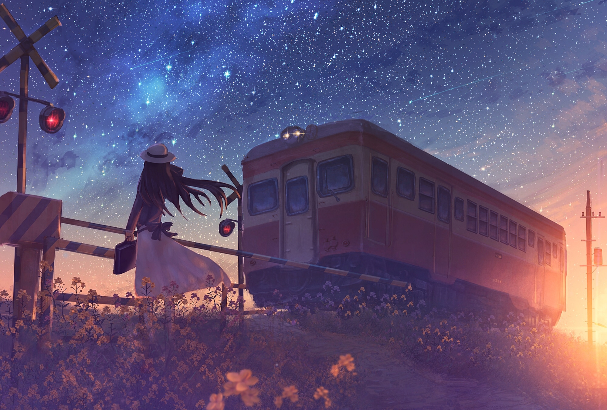 Girl Shooting Star Starry Sky Sunset Train 2000x1353