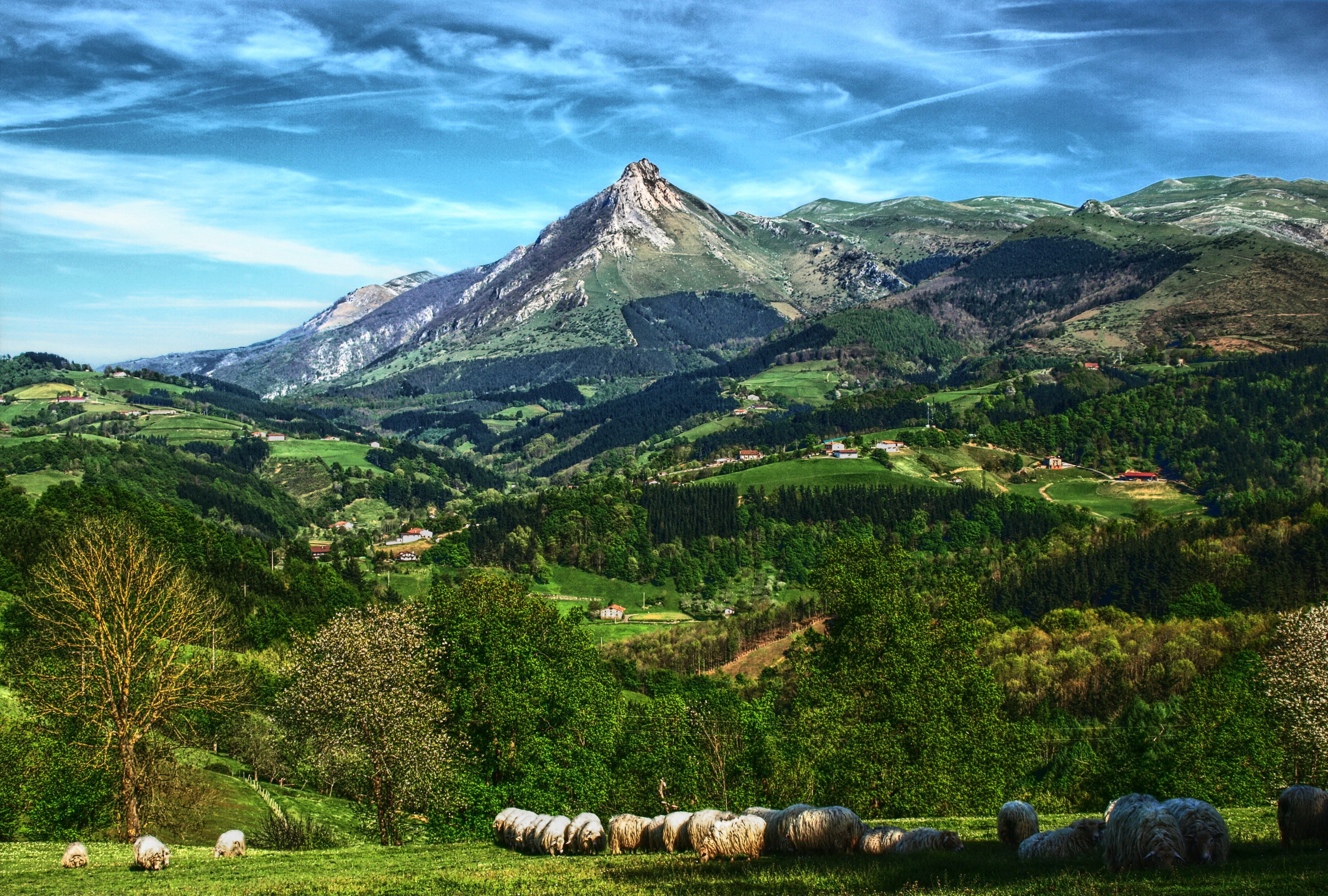 Landscape Sheep Spain 2600x1755