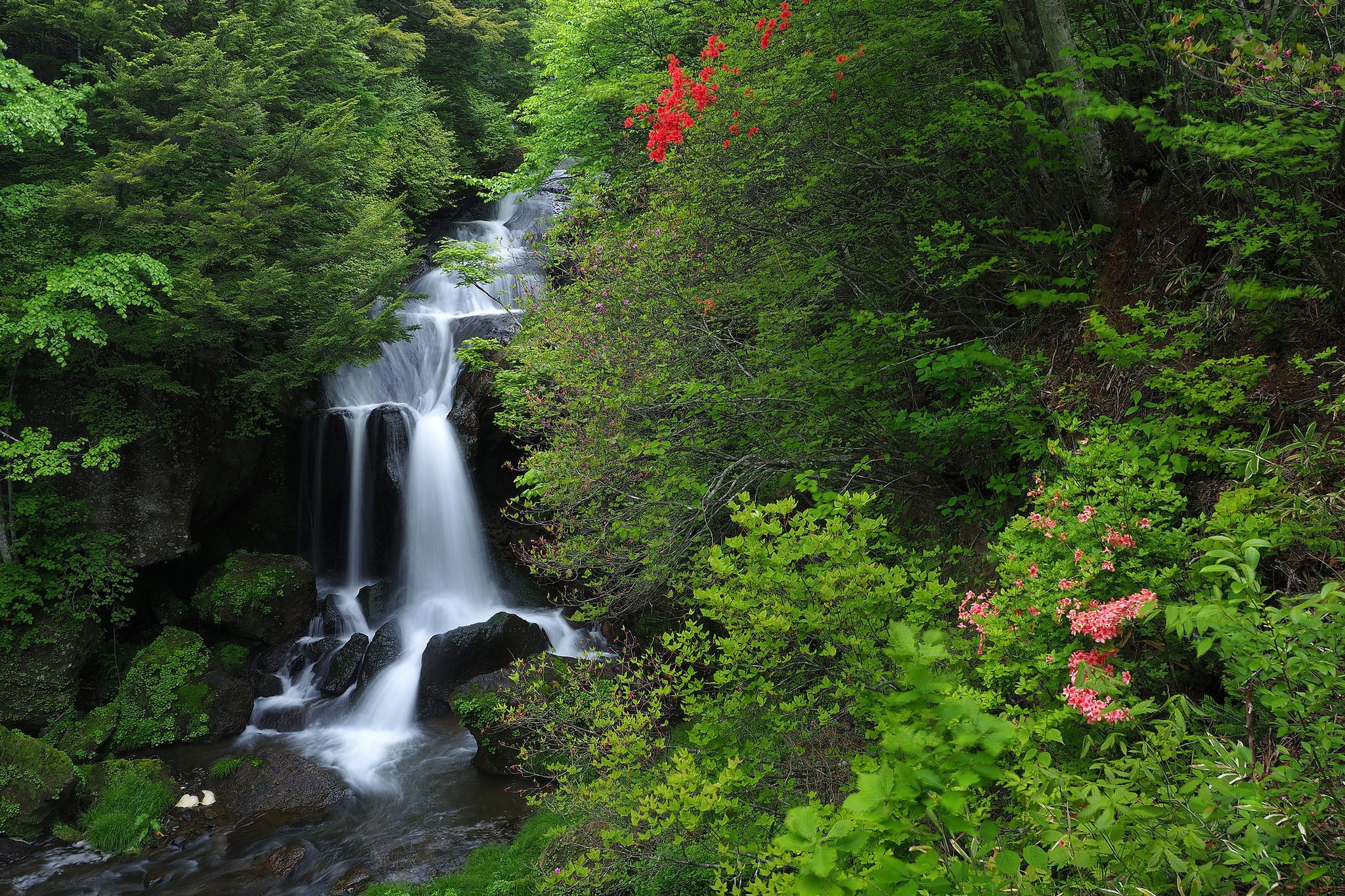 Nature Stream Waterfall 2048x1365