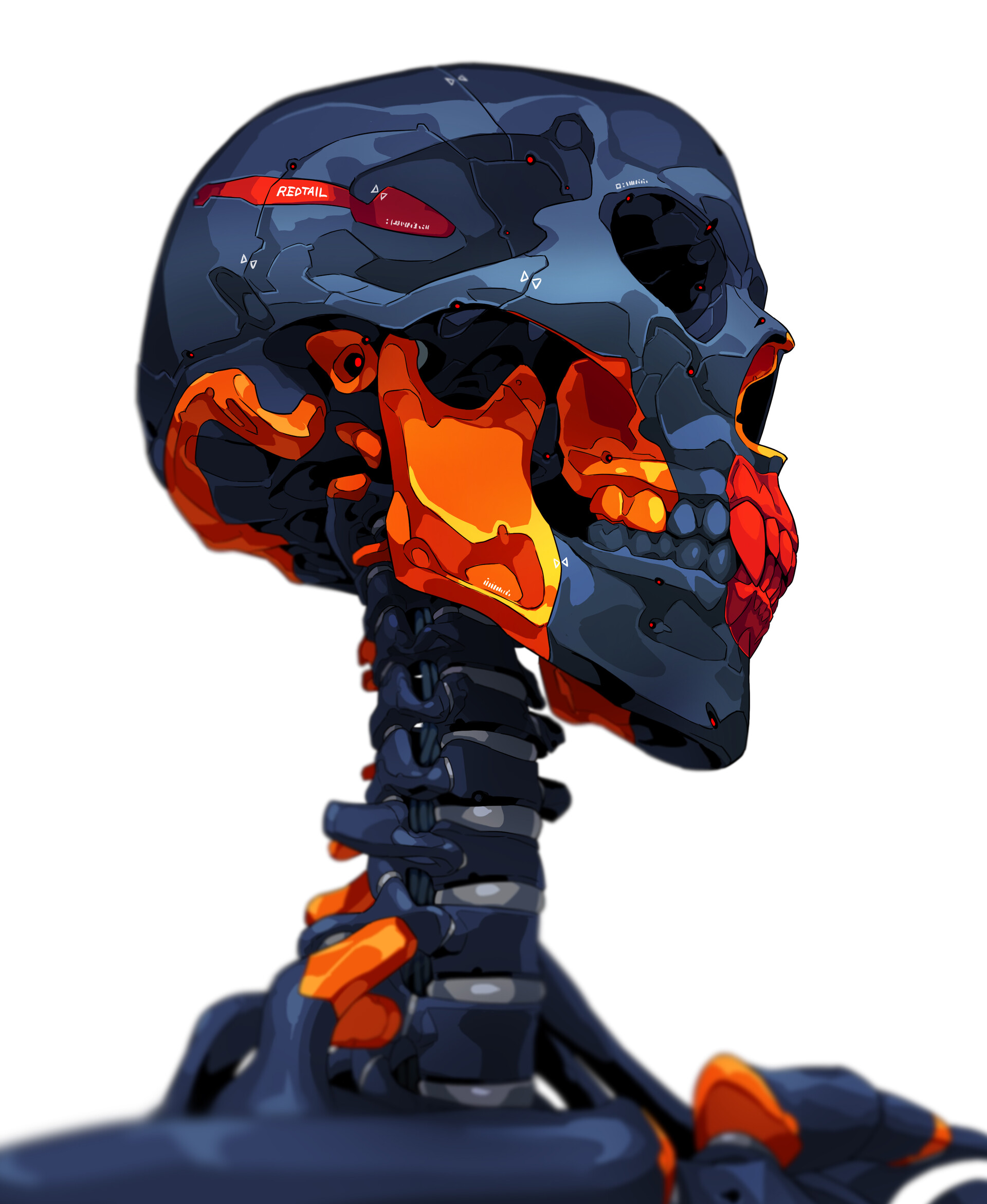 Teru ArtStation Artwork Skull Bones Anatomy Simple Background White Background 1920x2342