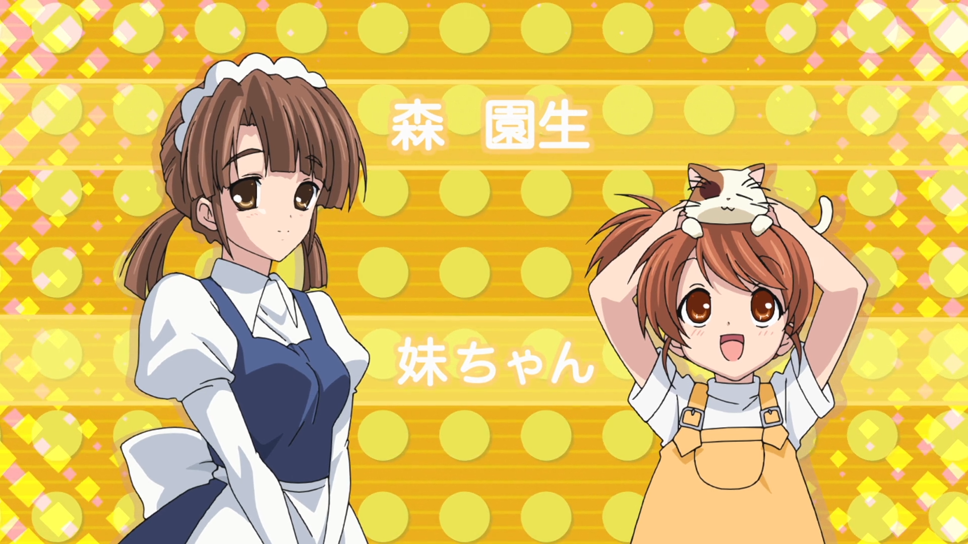 Kyon 039 S Sister Haruhi Shamisen Haruhi The Melancholy Of Haruhi Suzumiya 1920x1080