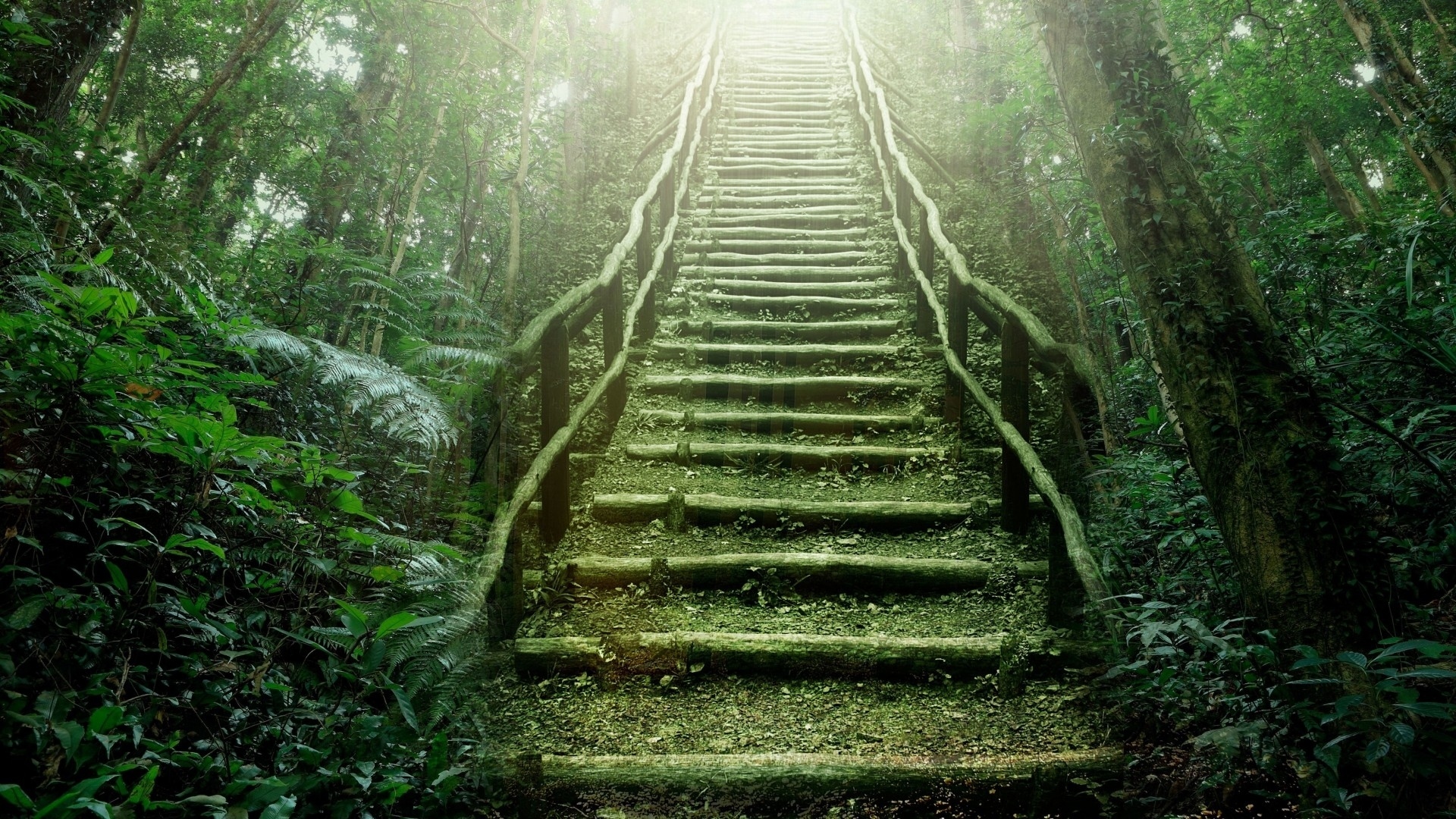 Forest Moss Nature Stairs 1920x1080