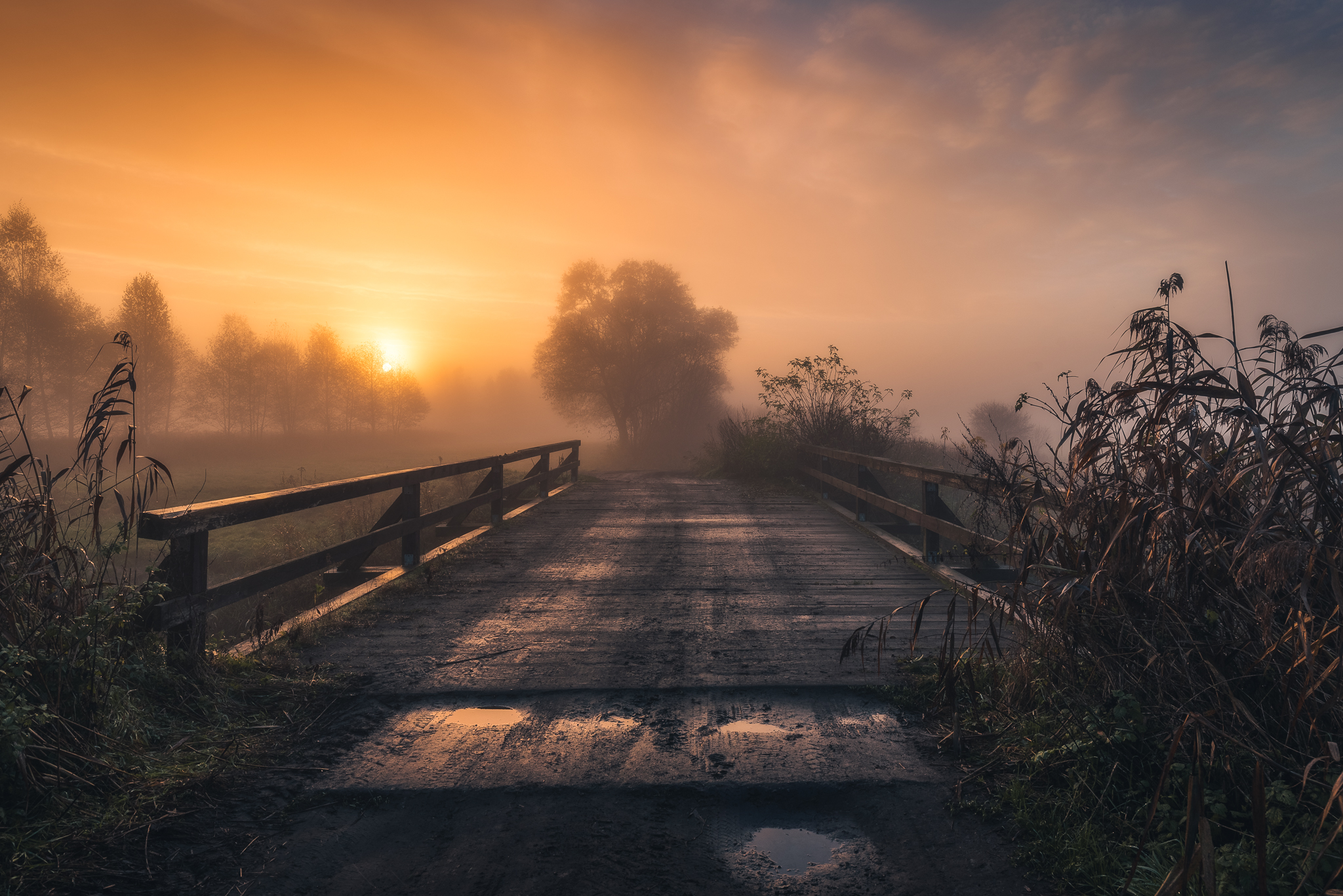 Micha Tomczak Bridge Sky Nature Mist Trees Plants Fence Sun 2048x1367