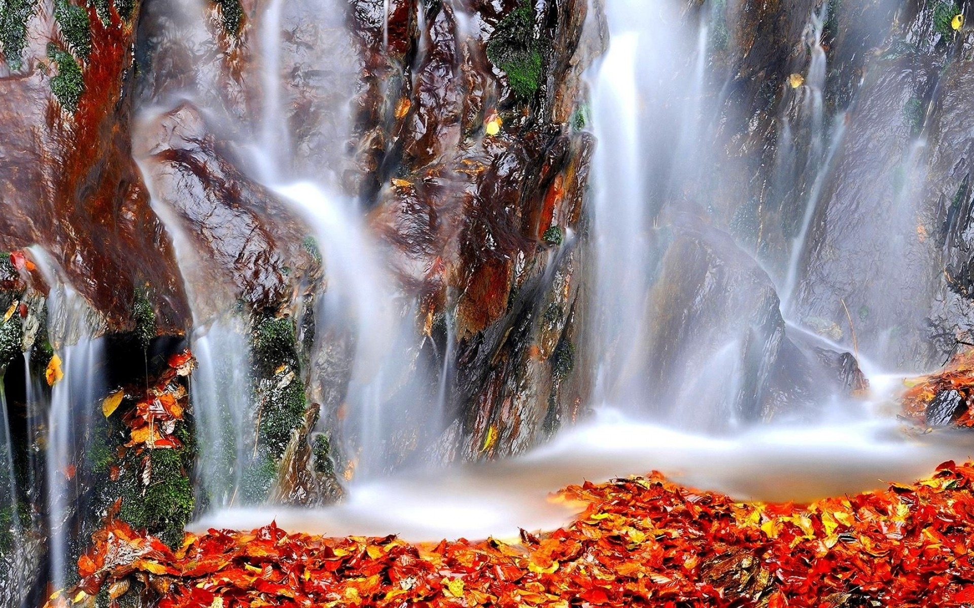 Fall Leaf Nature Rock Water Waterfall 1920x1200