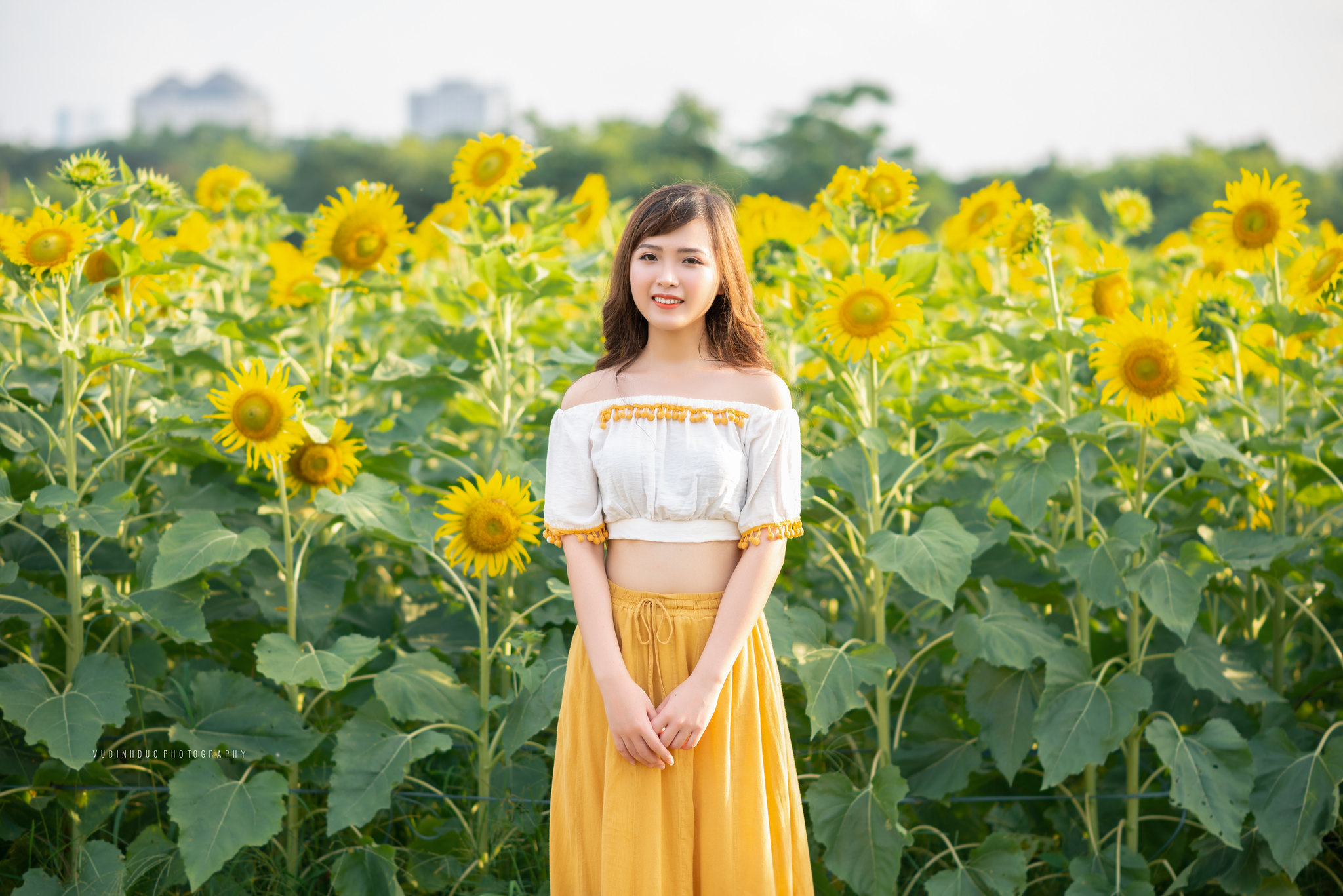Women Vietnamese Asian Depth Of Field Yellow Dress Sunflowers Model Brunette Bare Midriff Women Outd 2048x1367