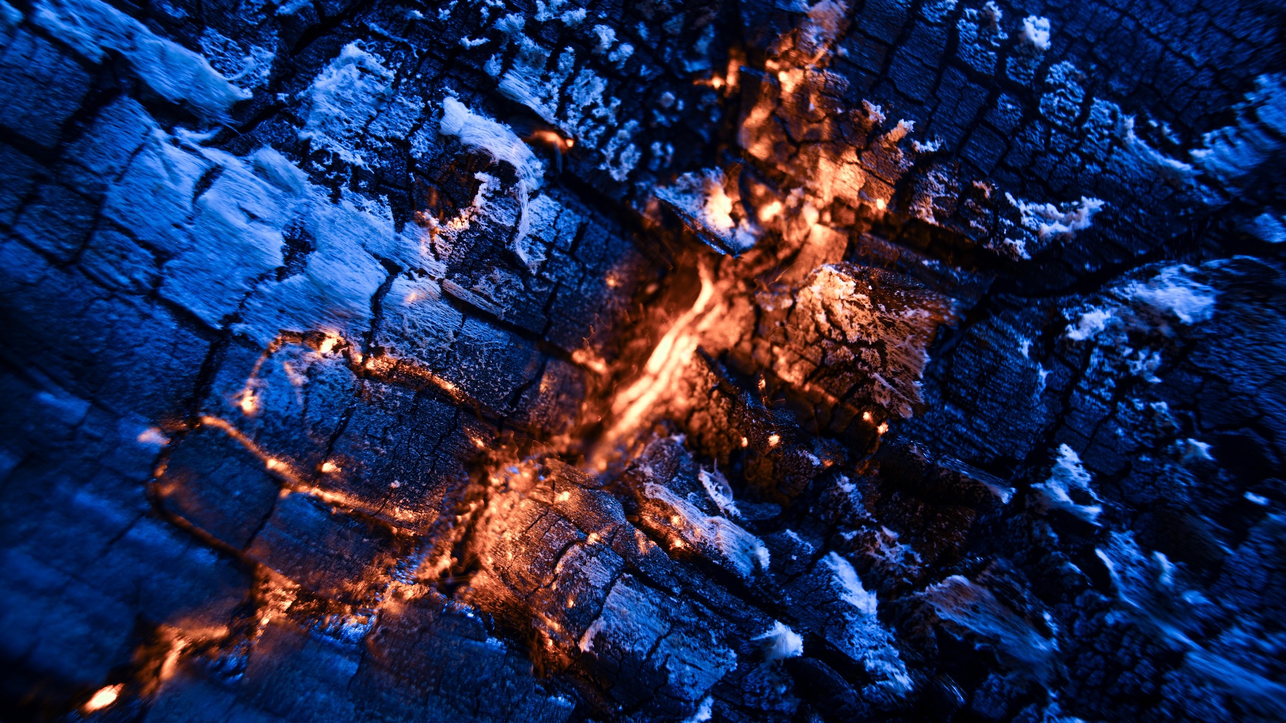 Macro Fire Coal Burning 2560x1440