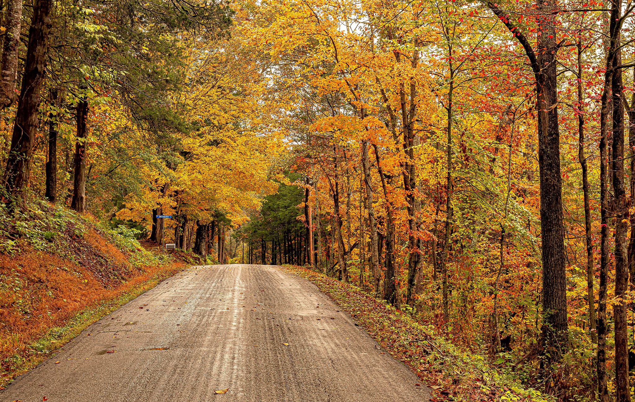 Fall Forest Road Virginia State In Usa 2048x1295