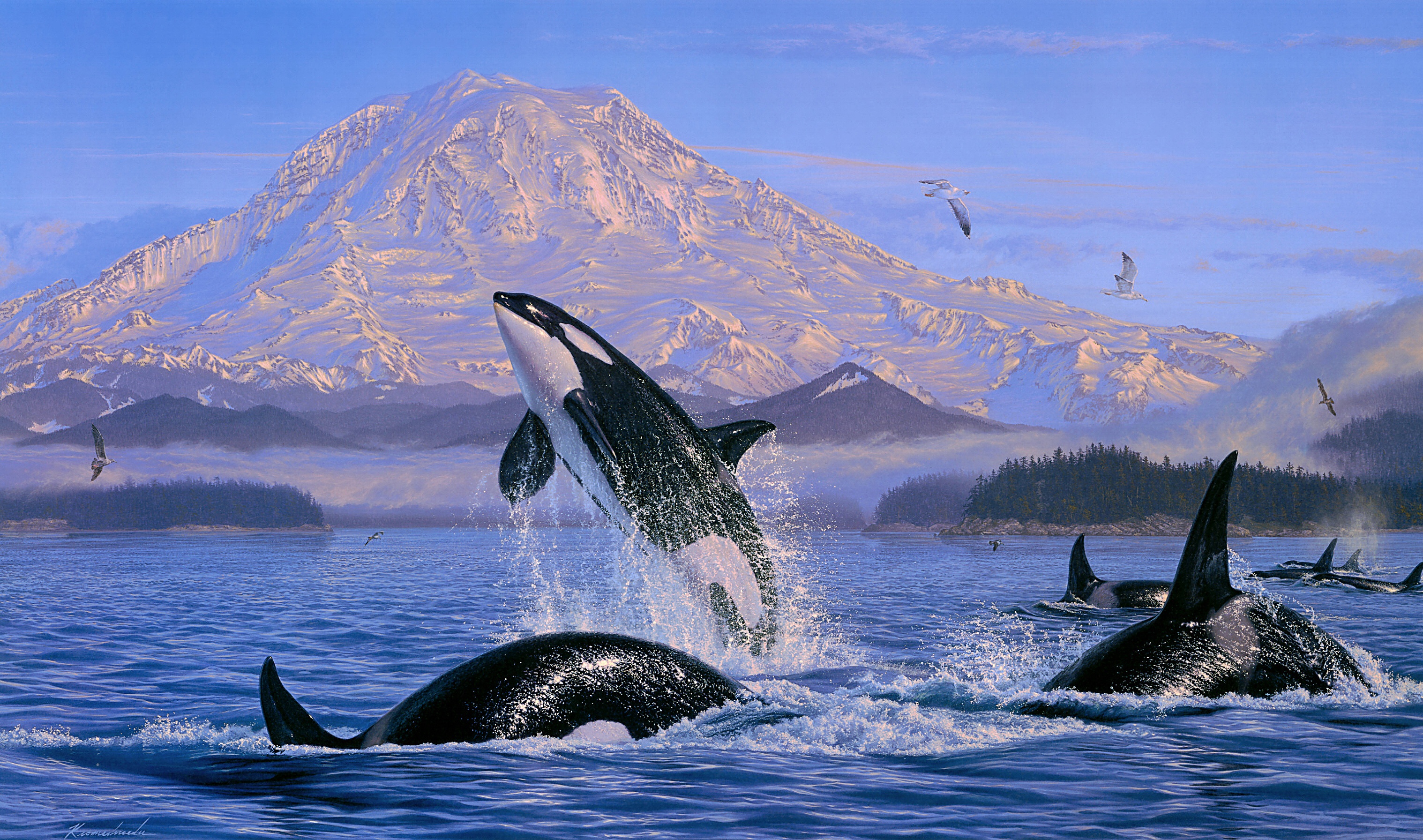Artistic Orca Painting Sea Life 3036x1792