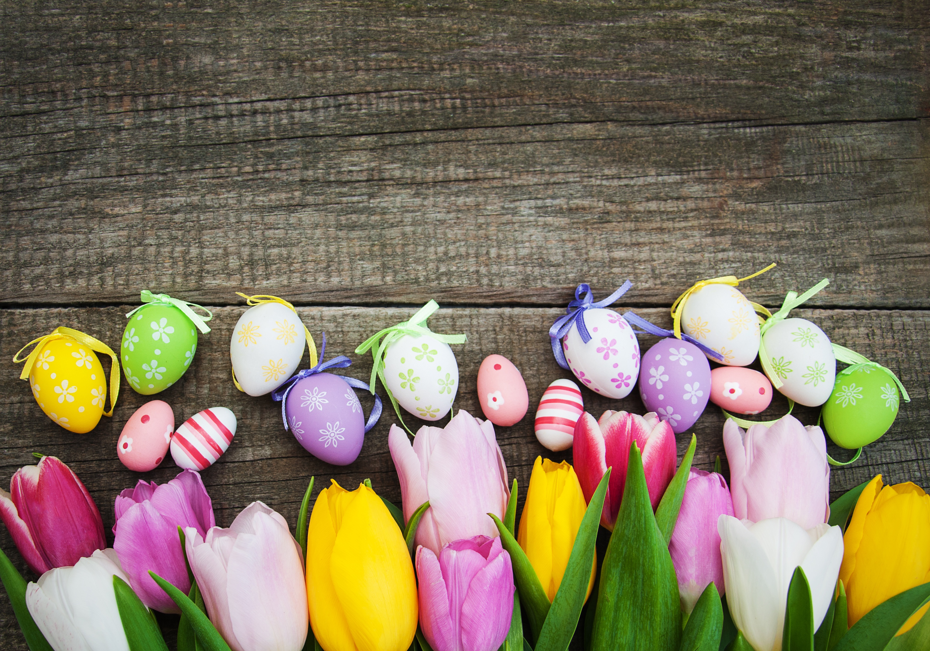 Easter Easter Egg Flower Tulip 3238x2266