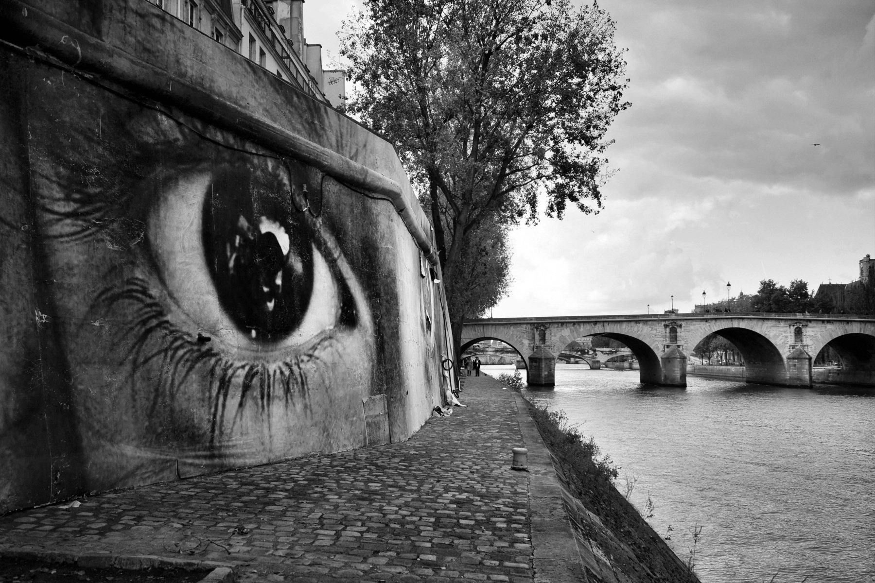 Photography Monochrome Architecture River Bridge Old Bridge Graffiti Eyes Trees Paris France Street  1800x1200