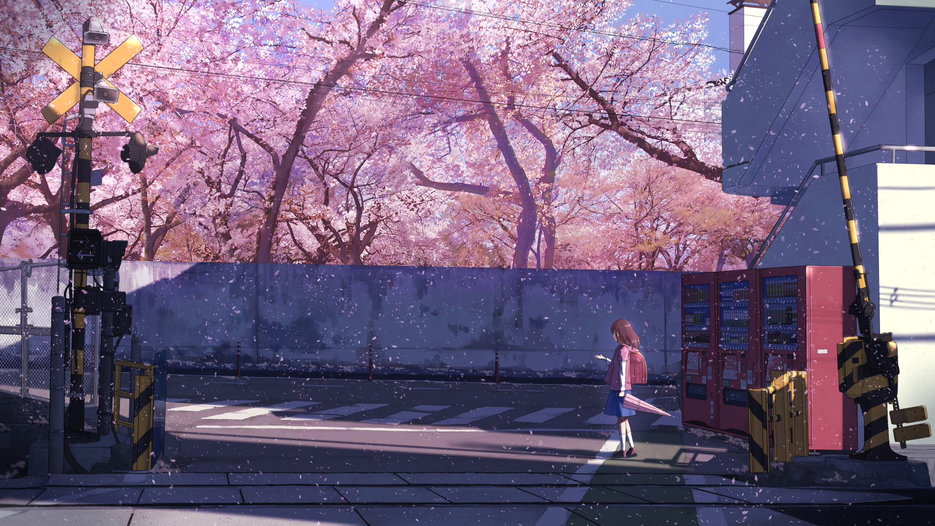 Anime Anime Girls Cherry Blossom 5 Centimeters Per Second Wallpaper -  Resolution:1920x1080 - ID:1143526 