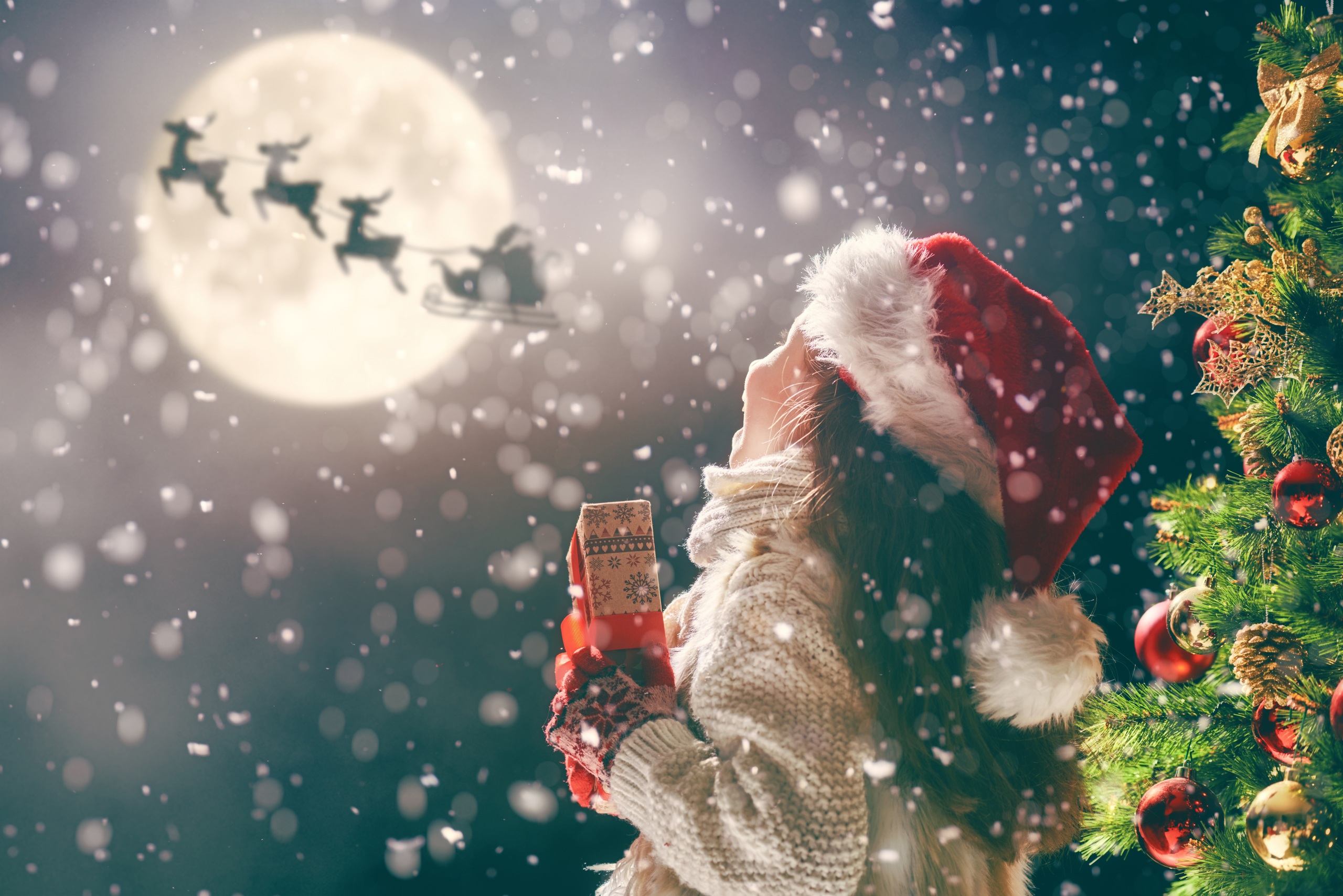 Child Christmas Gift Moon Reindeer Santa Sled 2560x1708