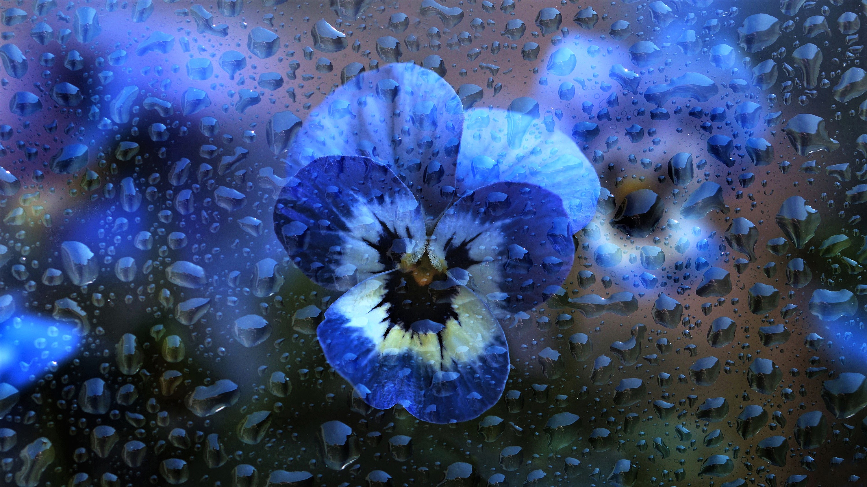 Minimalistic Blue Rain On Window iPhone Wallpapers Free Download