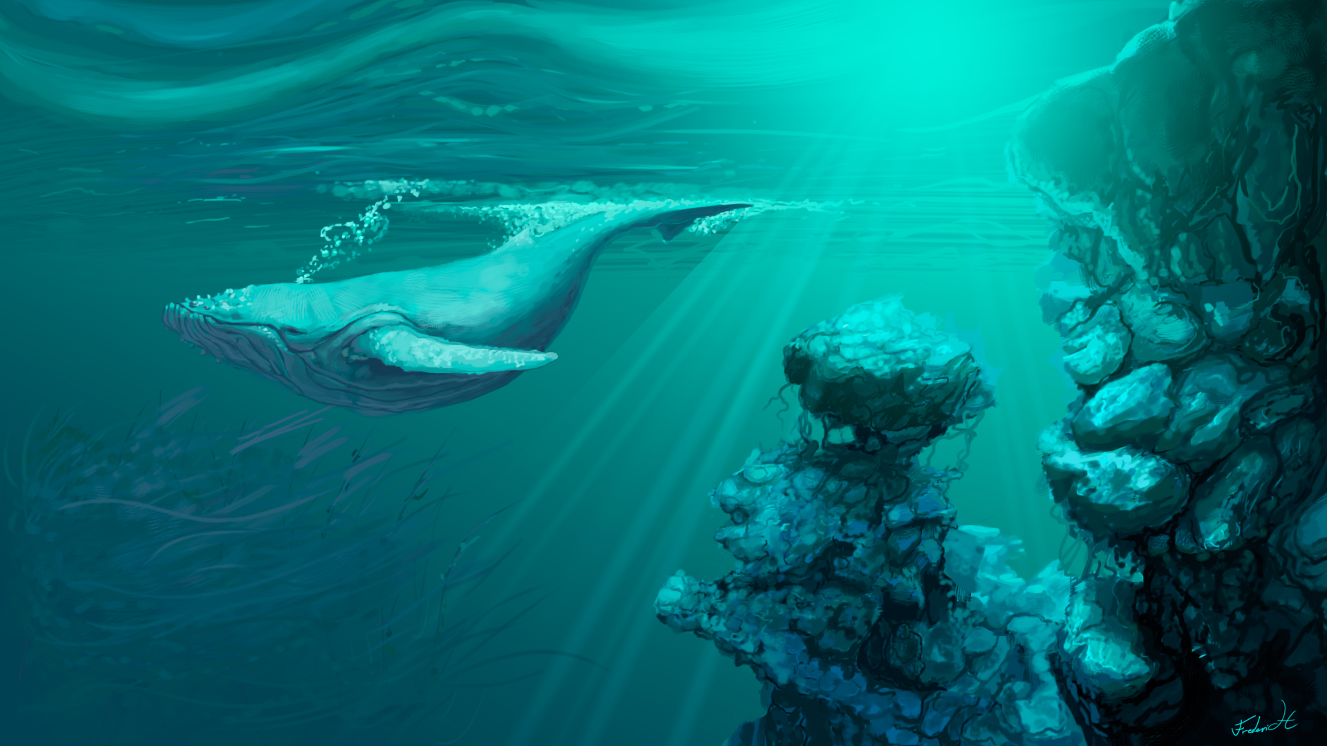 Whale Animals Artwork Underwater 1920x1080