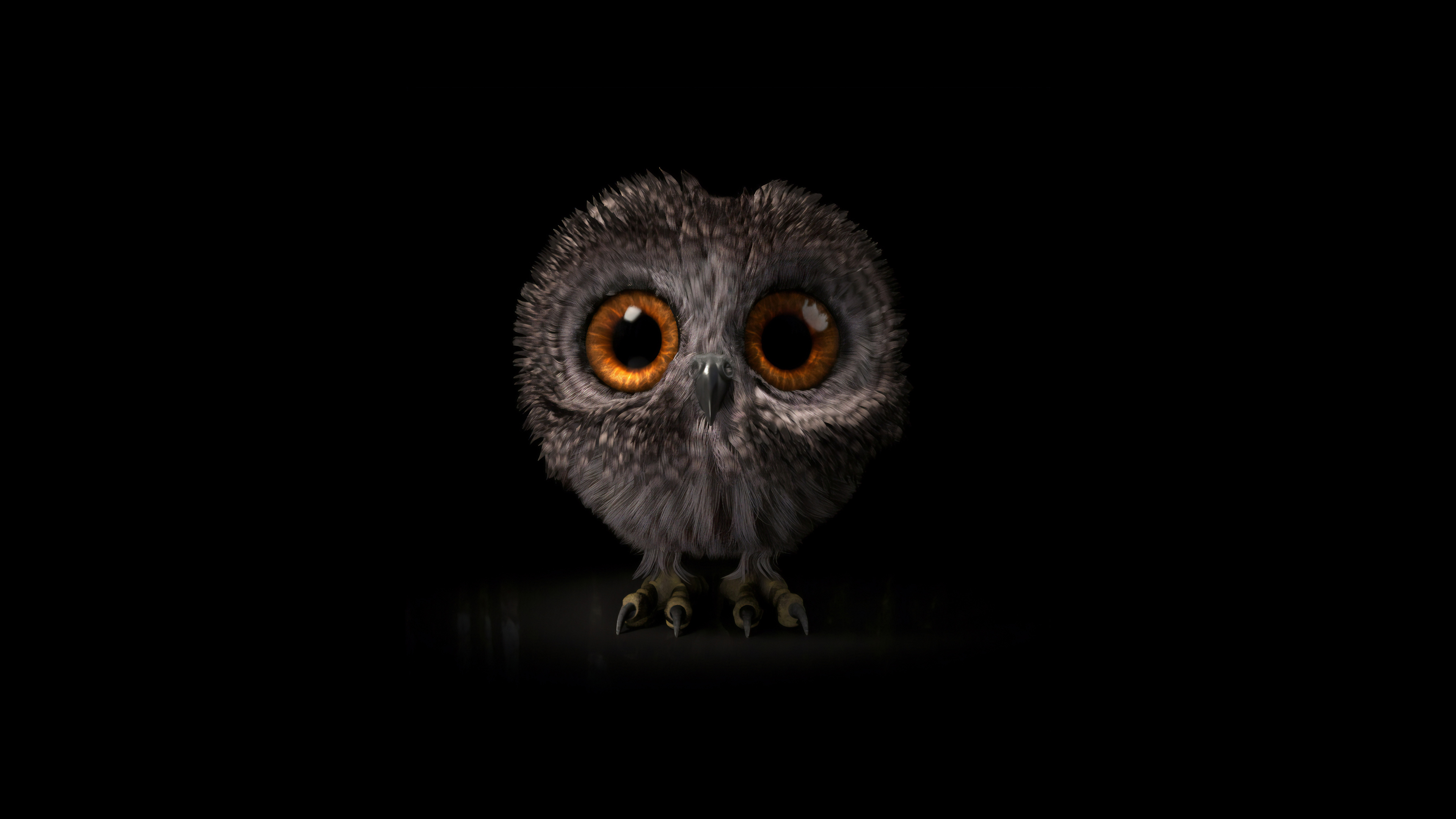Baby Animal Cute Owl Owlet 3840x2160