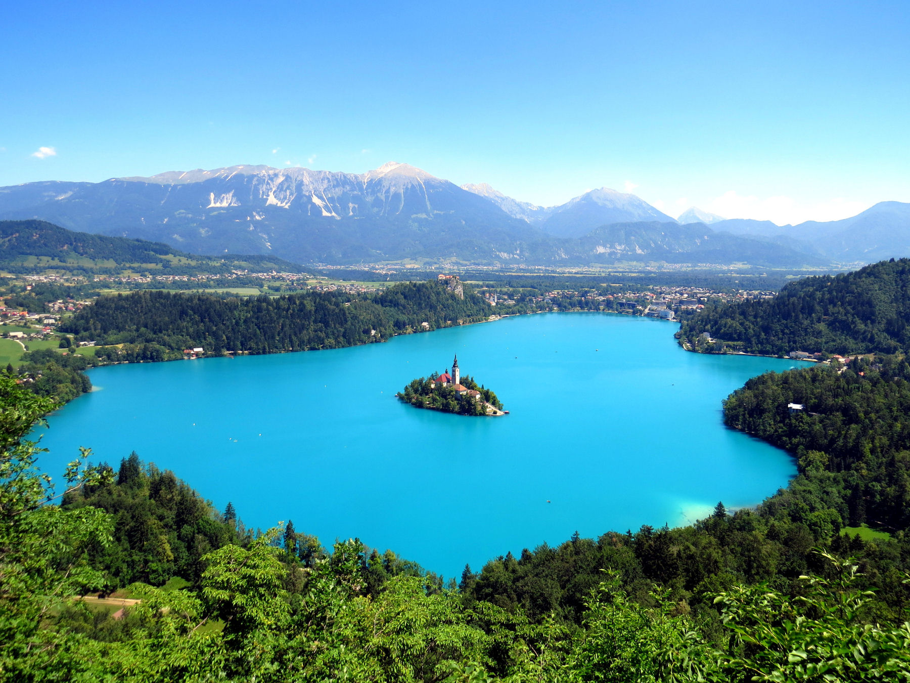 Forest Island Lake Lake Bled 1800x1350