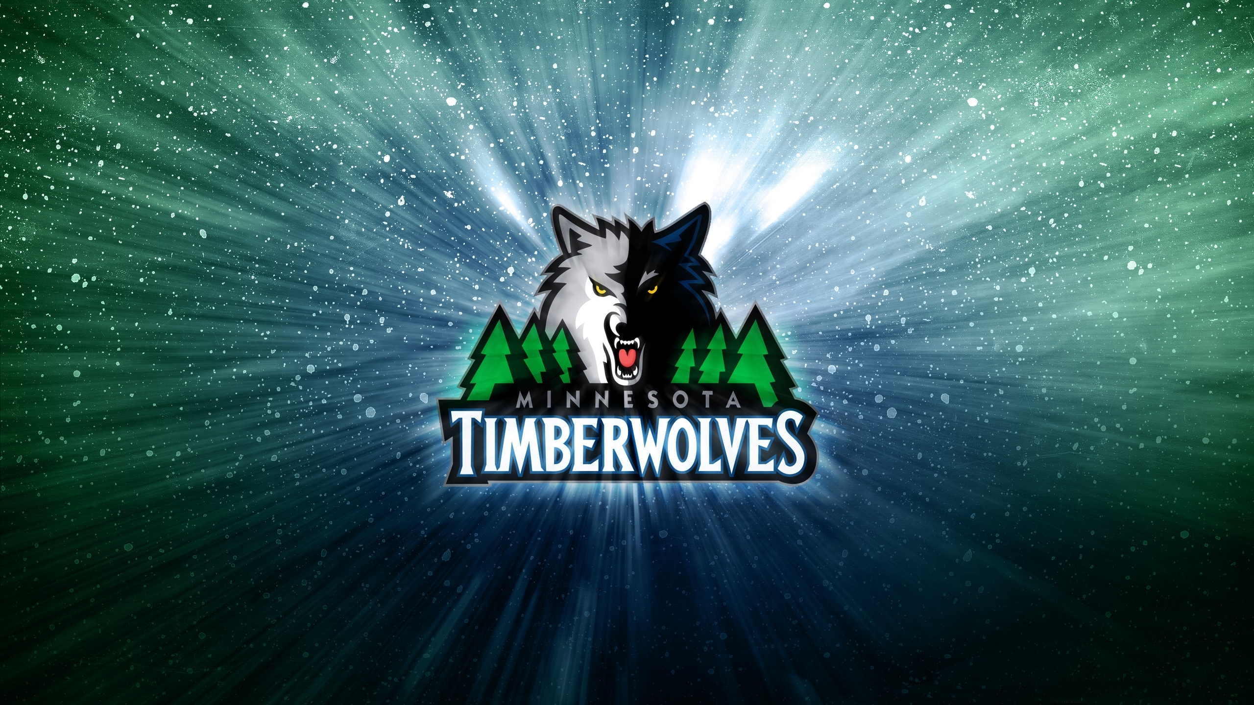 Basketball Logo Minnesota Timberwolves Nba 2560x1440