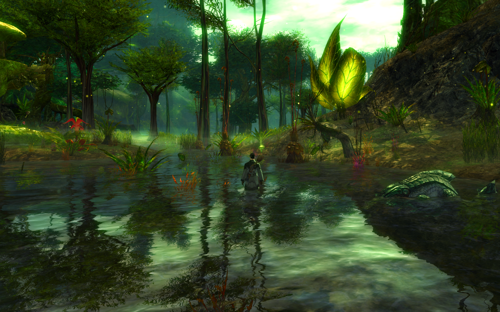 Video Game Guild Wars 2 1680x1050