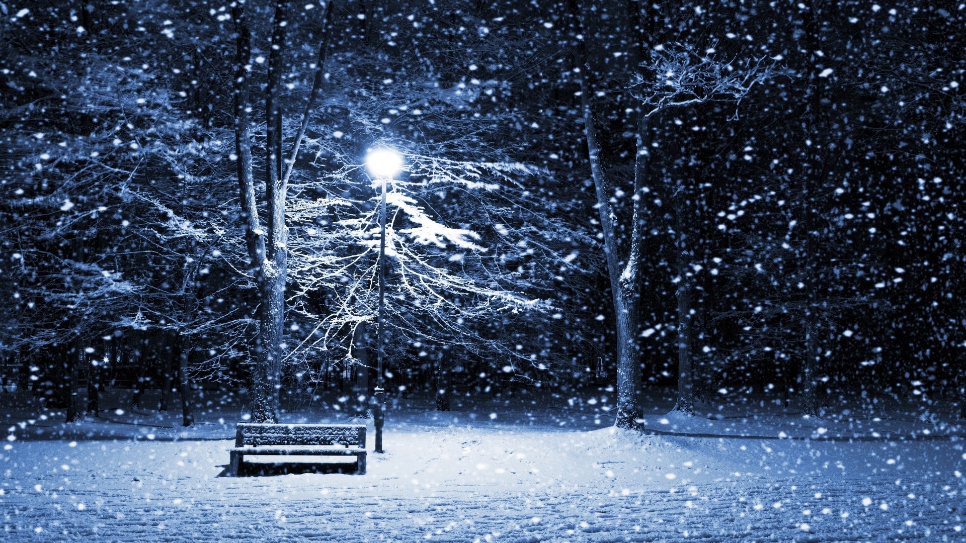 Nature Landscape Winter Snow Trees Forest Snowing Bench Night Lamp Street Light Empty 1920x1080