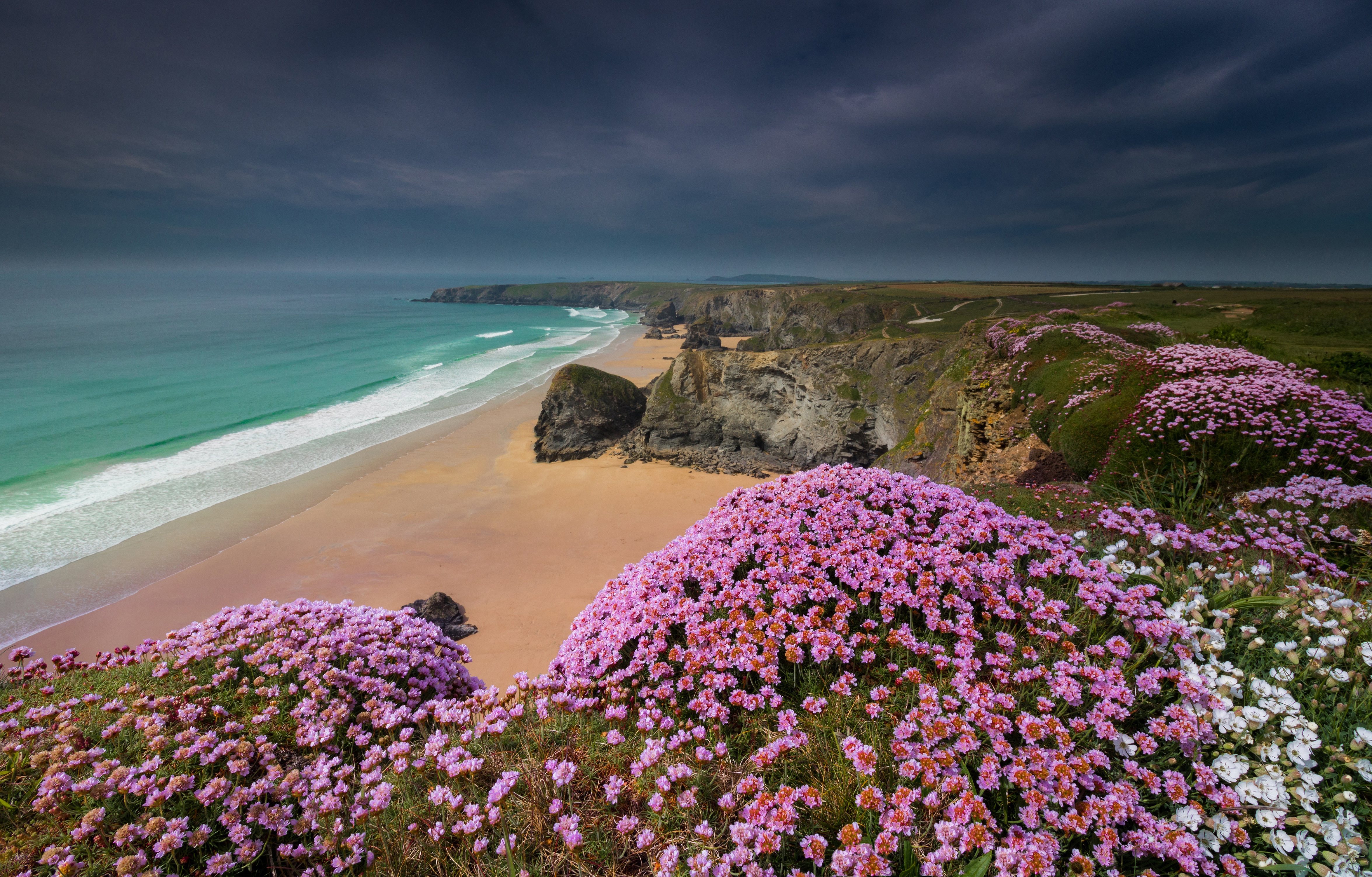 Beach Coast Cornwall England Flower Horizon Nature Ocean 4700x3005