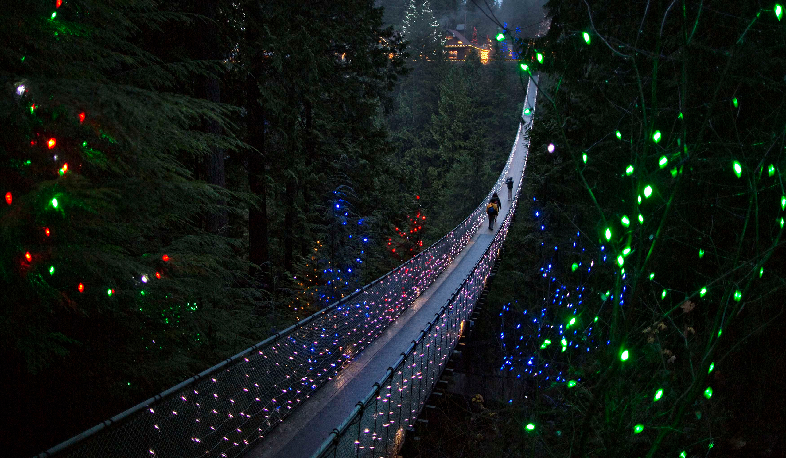 Bridge Canada Christmas Christmas Lights Forest Light Suspension Bridge Tree 2560x1492