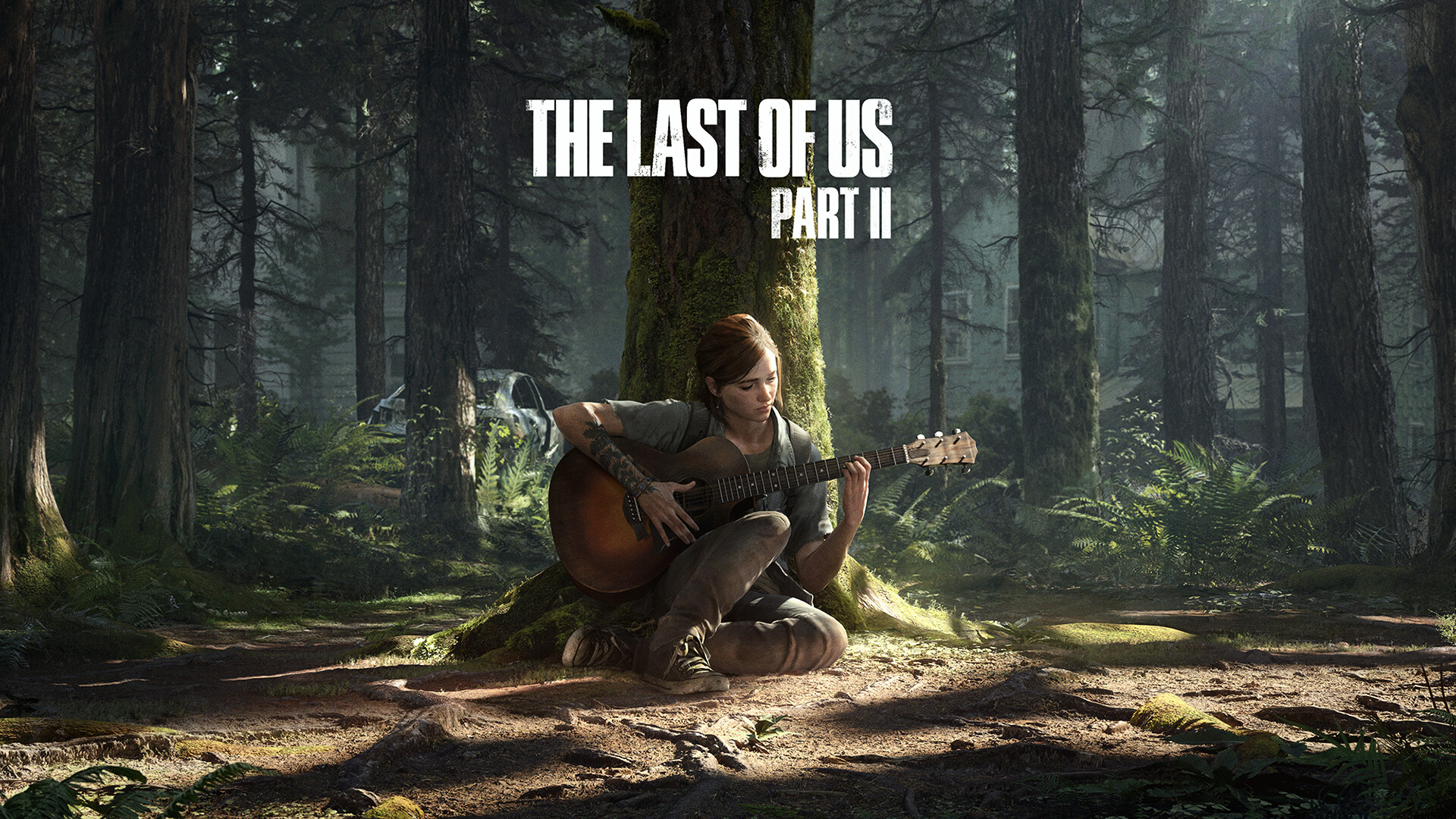 The Last Of Us 2 Ellie Video Games Video Game Characters Nature Trees Plants 1920x1080