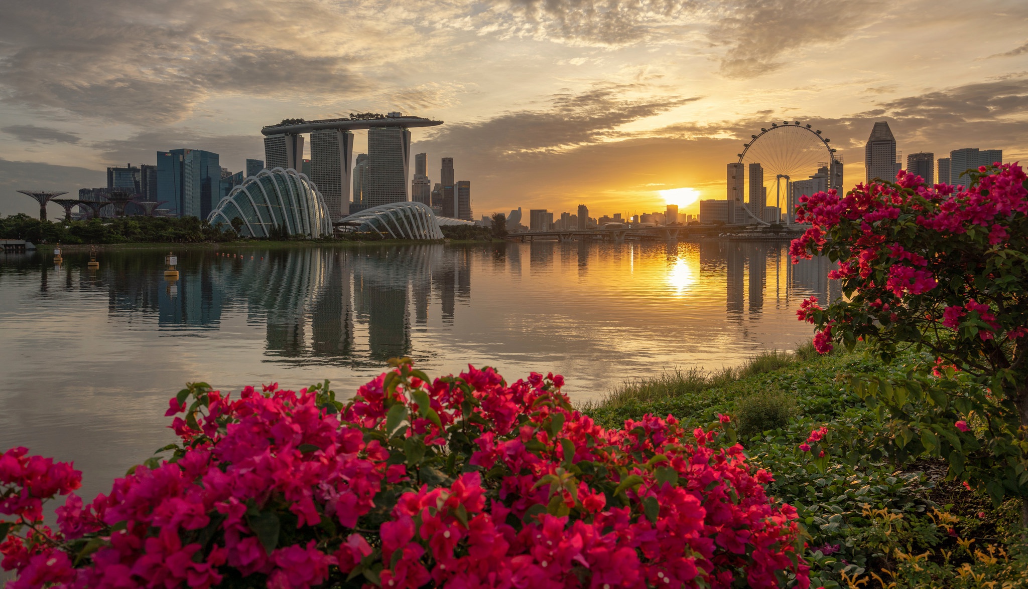 Building City Flower Reflection Singapore Sunrise 2048x1175