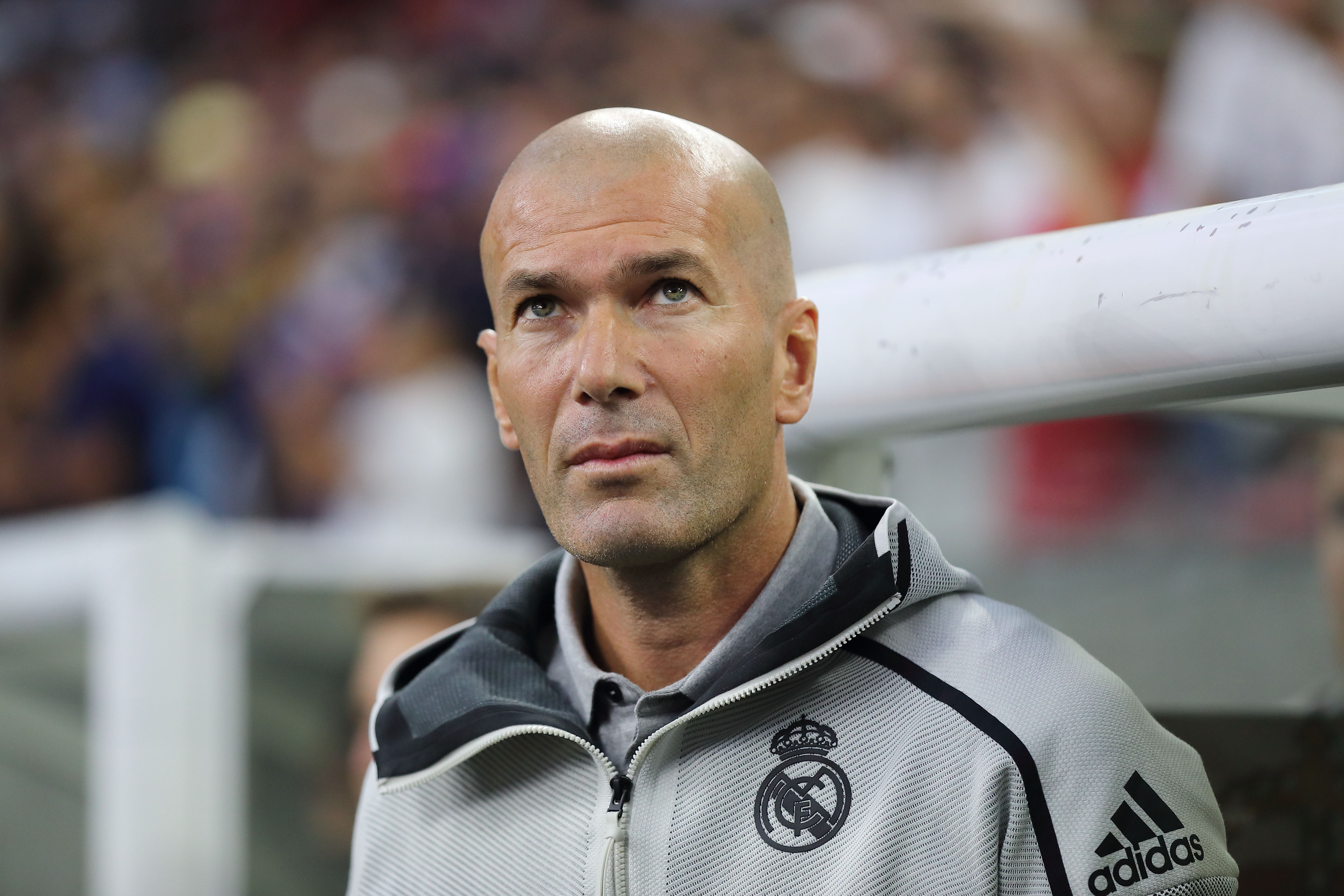 French Real Madrid C F Soccer Zinedine Zidane 5376x3584