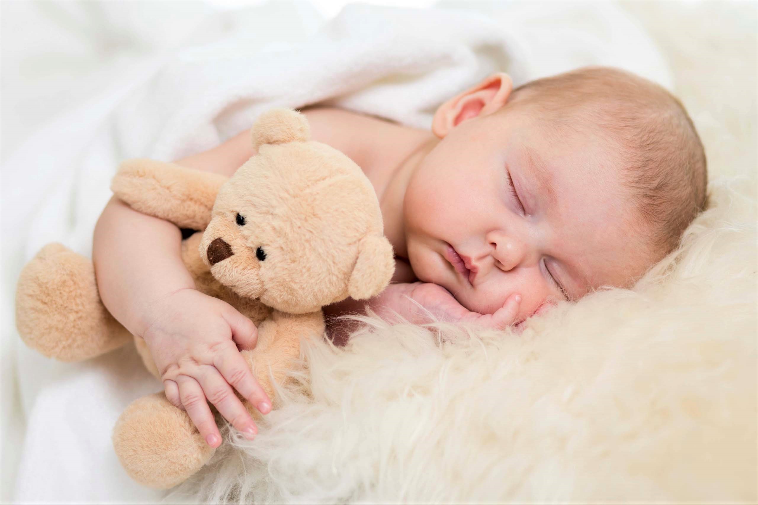 Baby Cute Sleeping Teddy Bear 2560x1707