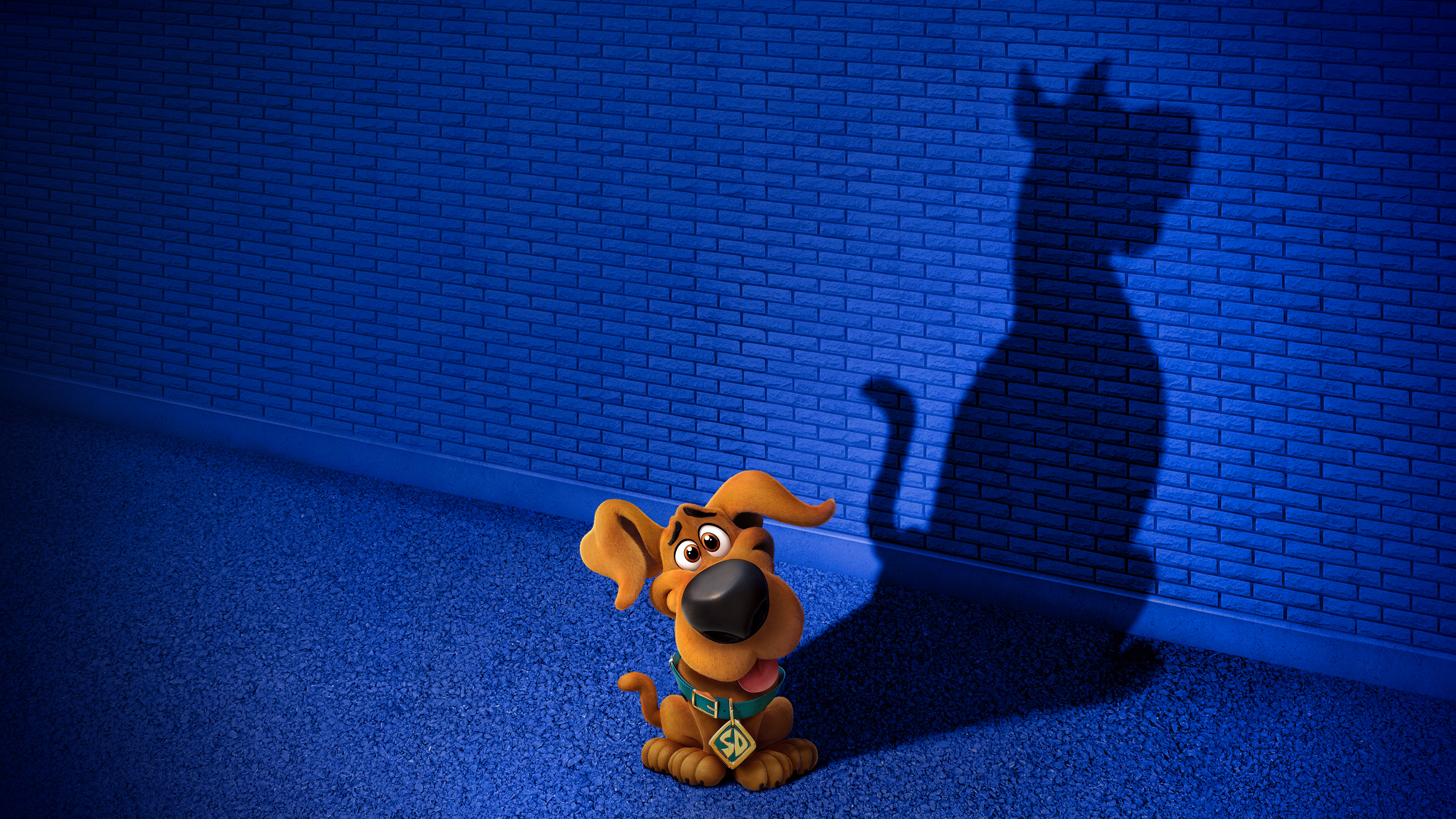 Puppy Scoob Scooby Doo Shadow 4542x2555