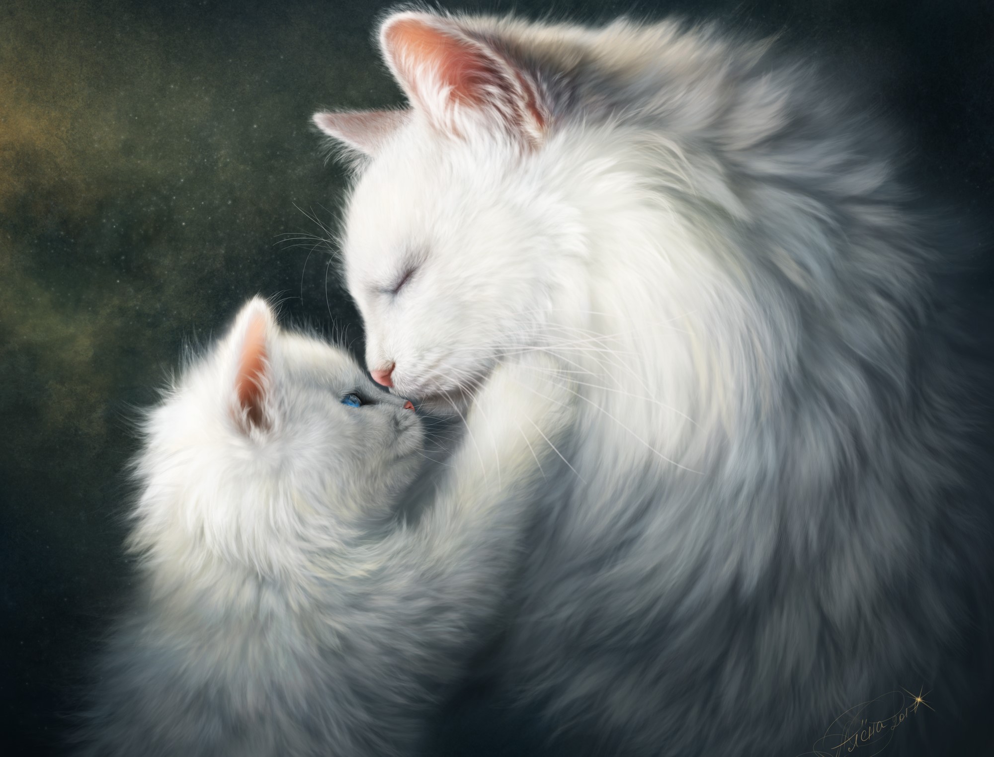 Cat Hug Kitten Love 2000x1523
