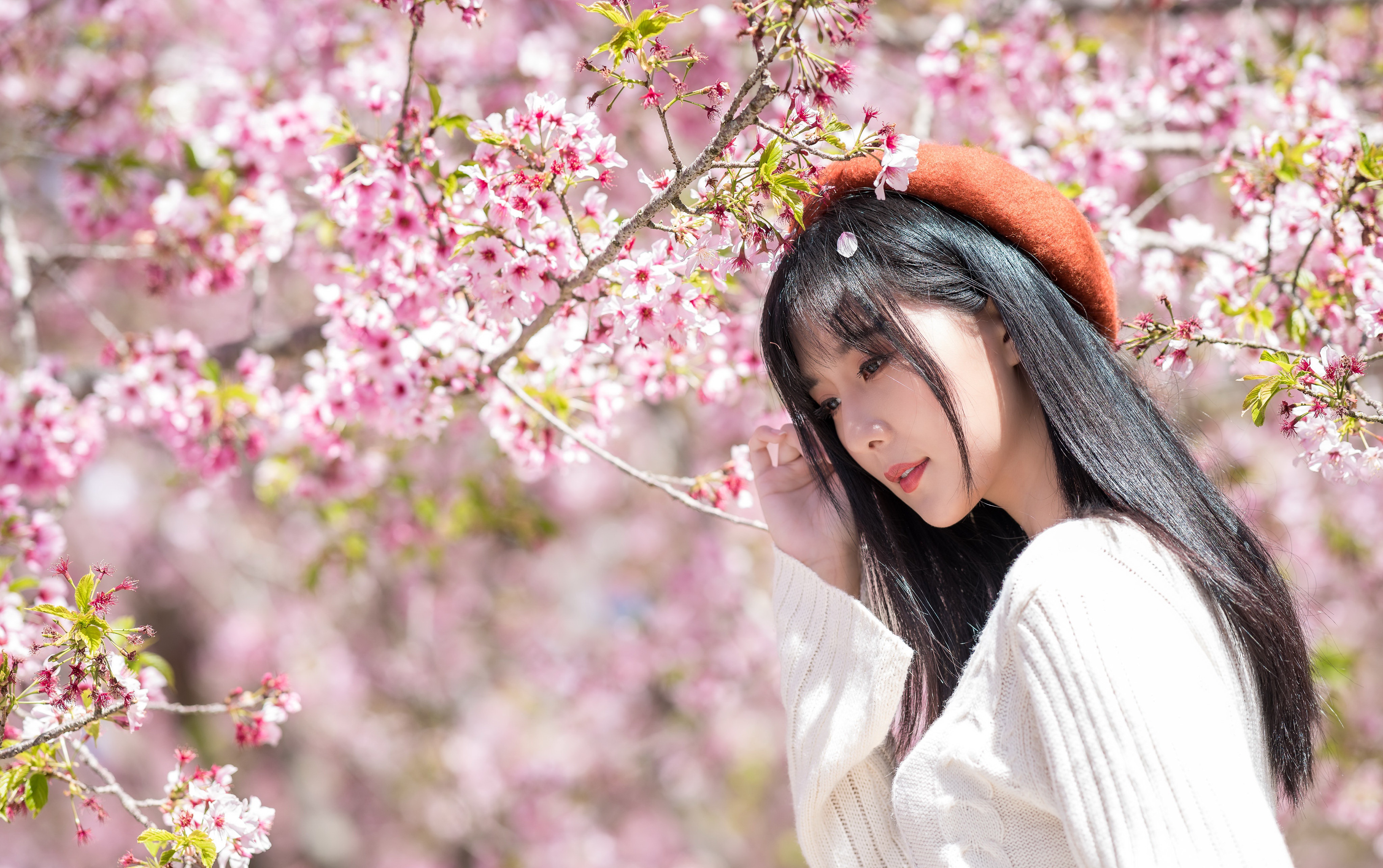 Asian Black Hair Blossom Girl Model Woman 4096x2573
