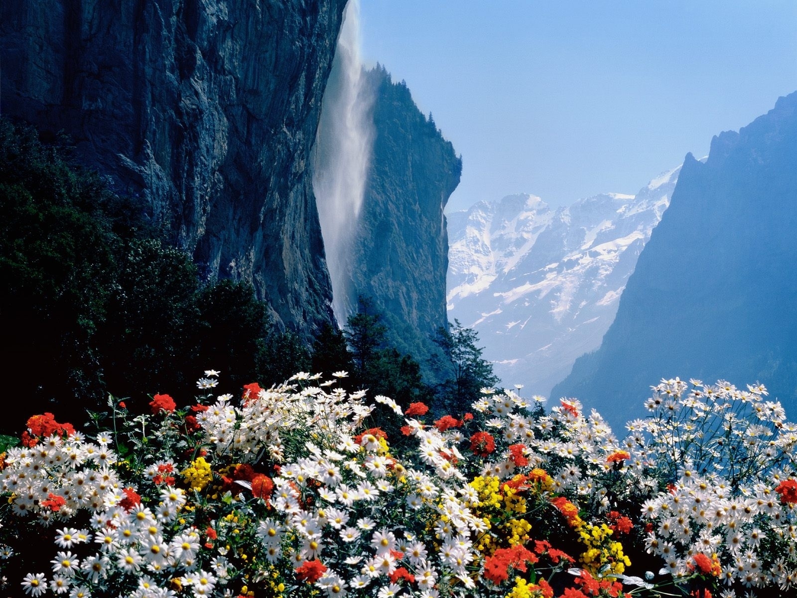Flower Mountain Nature Water Waterfall 1600x1200